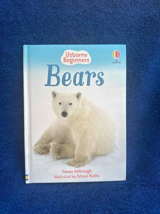 Bears Usborne beginners