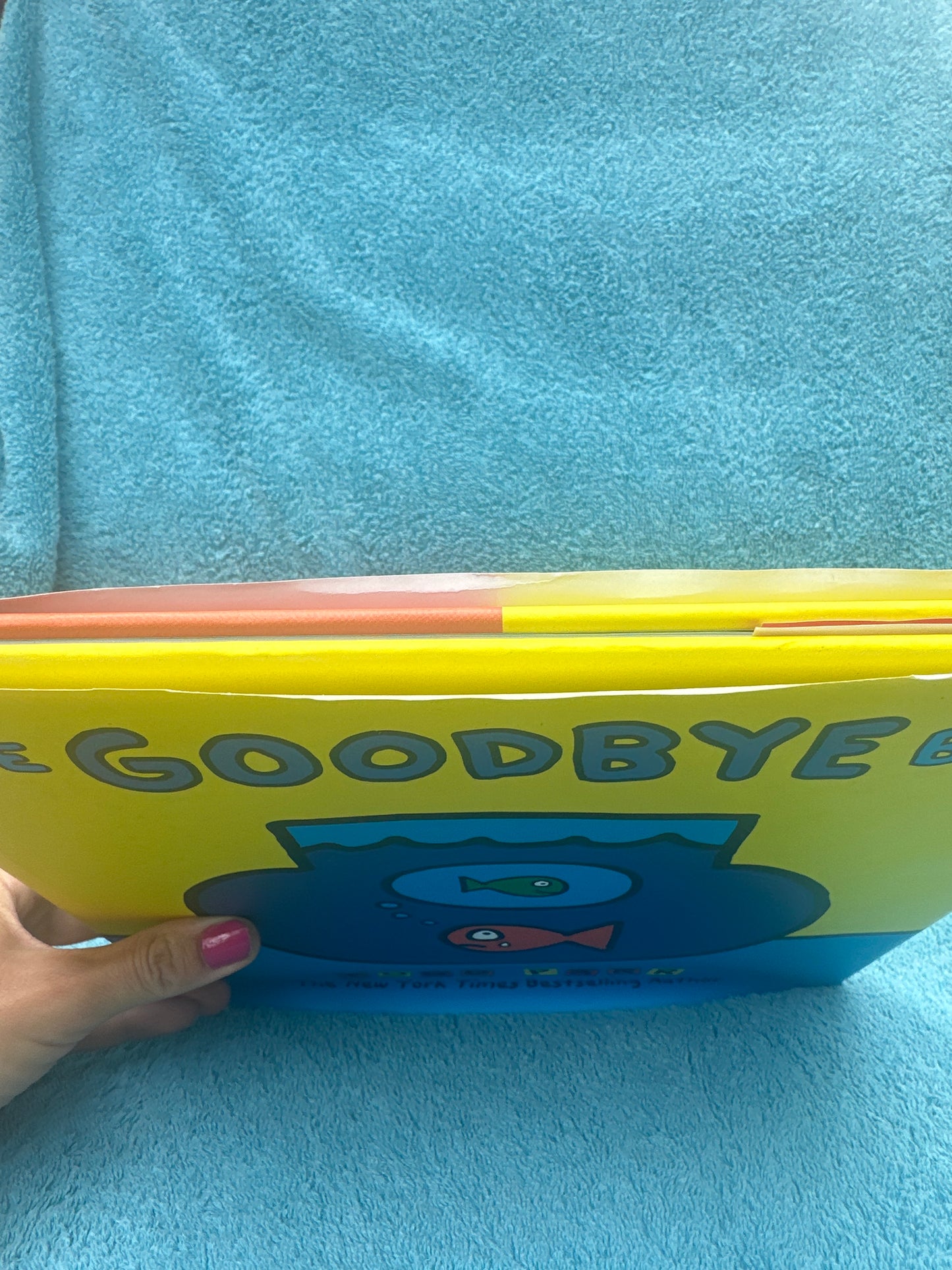 The GOODBYE 👋 book Todd Parr