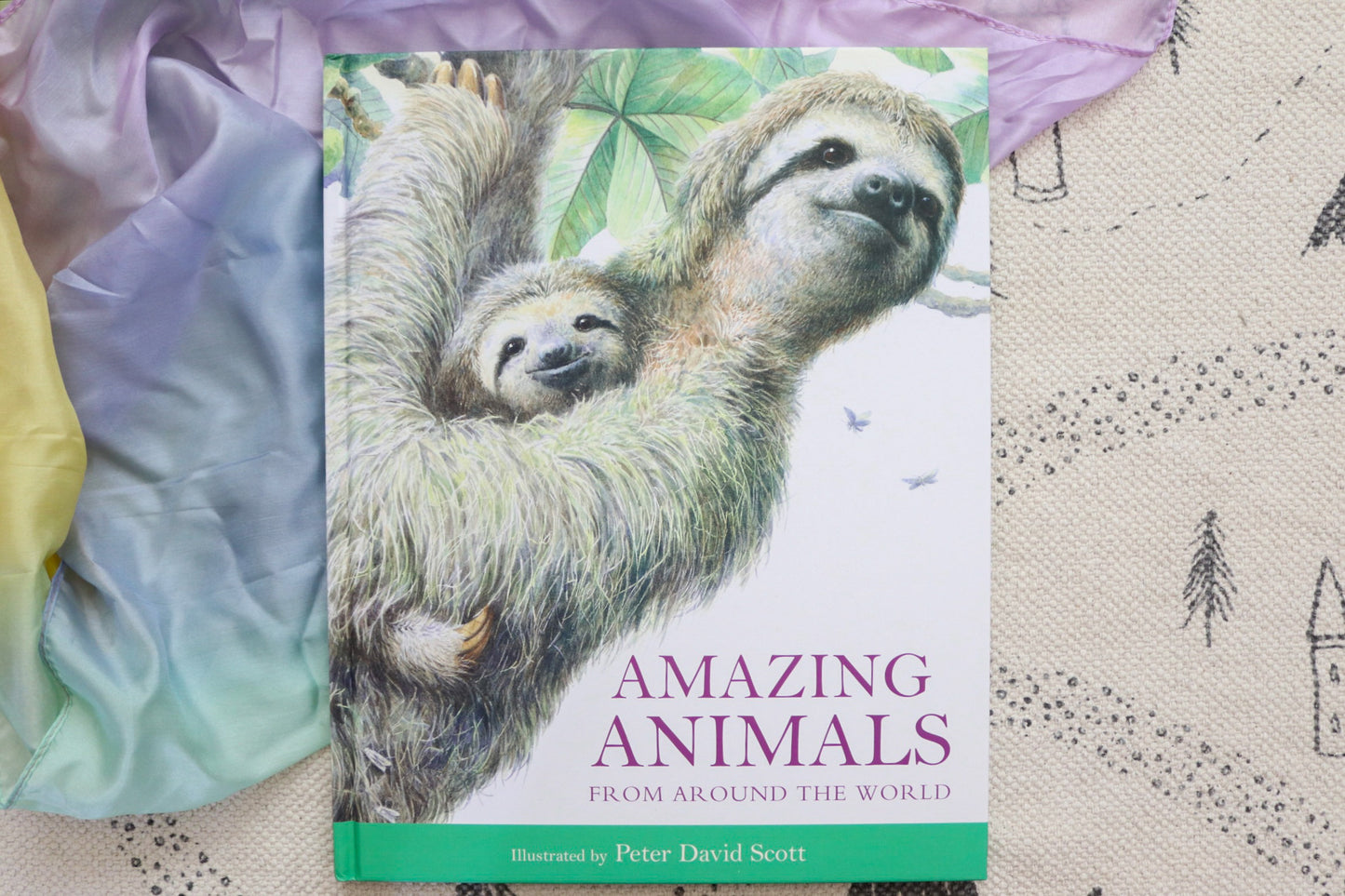 Amazing animals from around the world