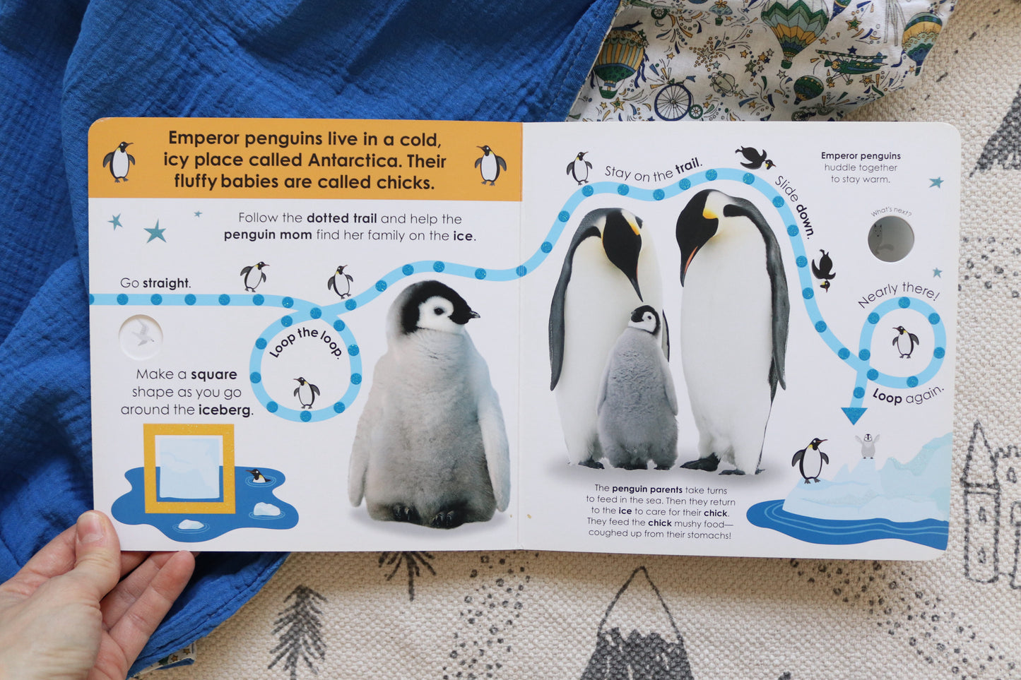 Follow the trail Winter Wonderland