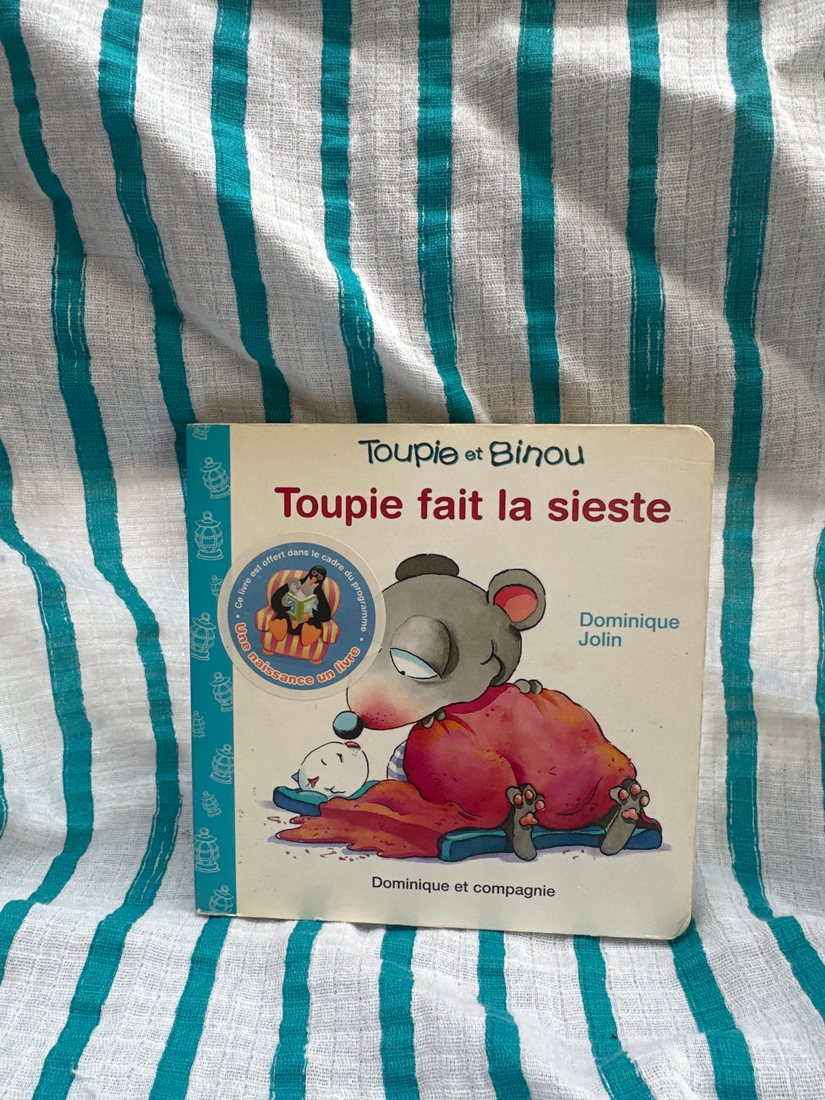 Toupie fait la sieste 😴