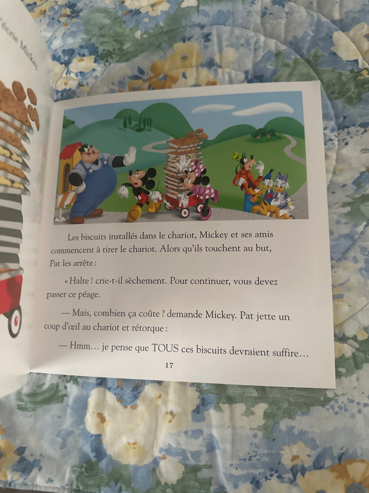 Les biscuits de Minnie