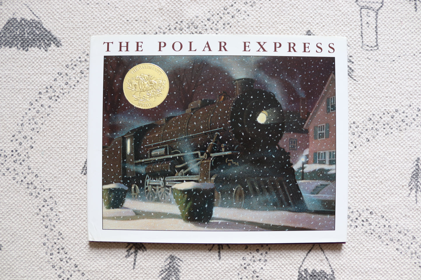 The polar Express 🎁🎄🚂