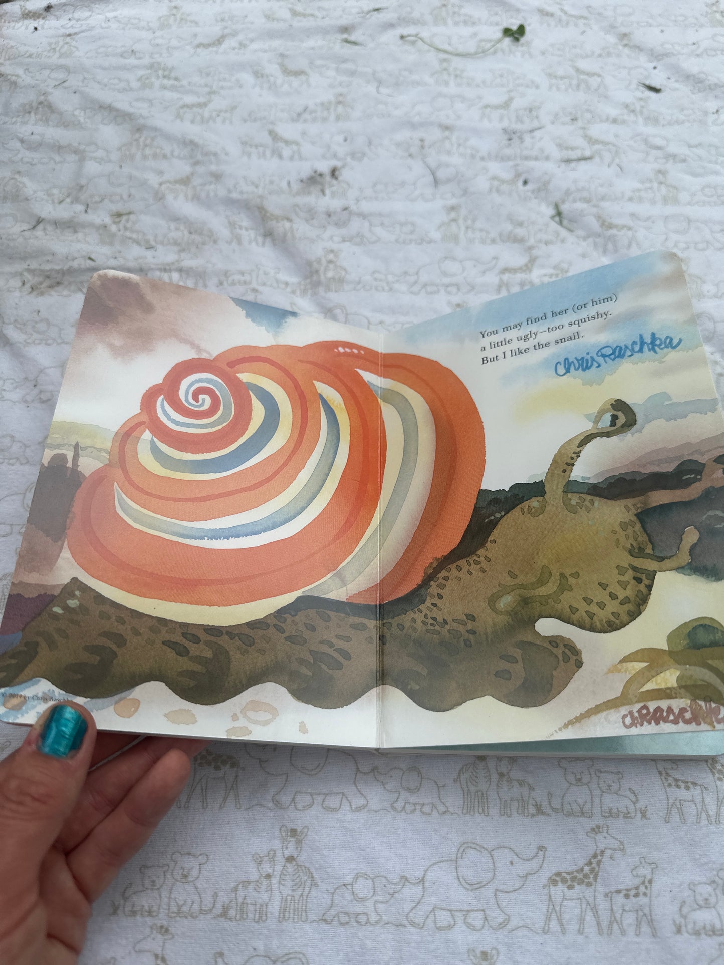 What’s your favourite animal? Eric Carle and friends