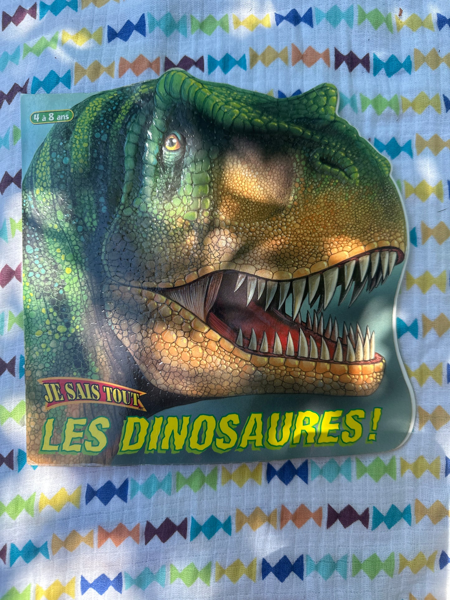 Les dinosaures 🦖