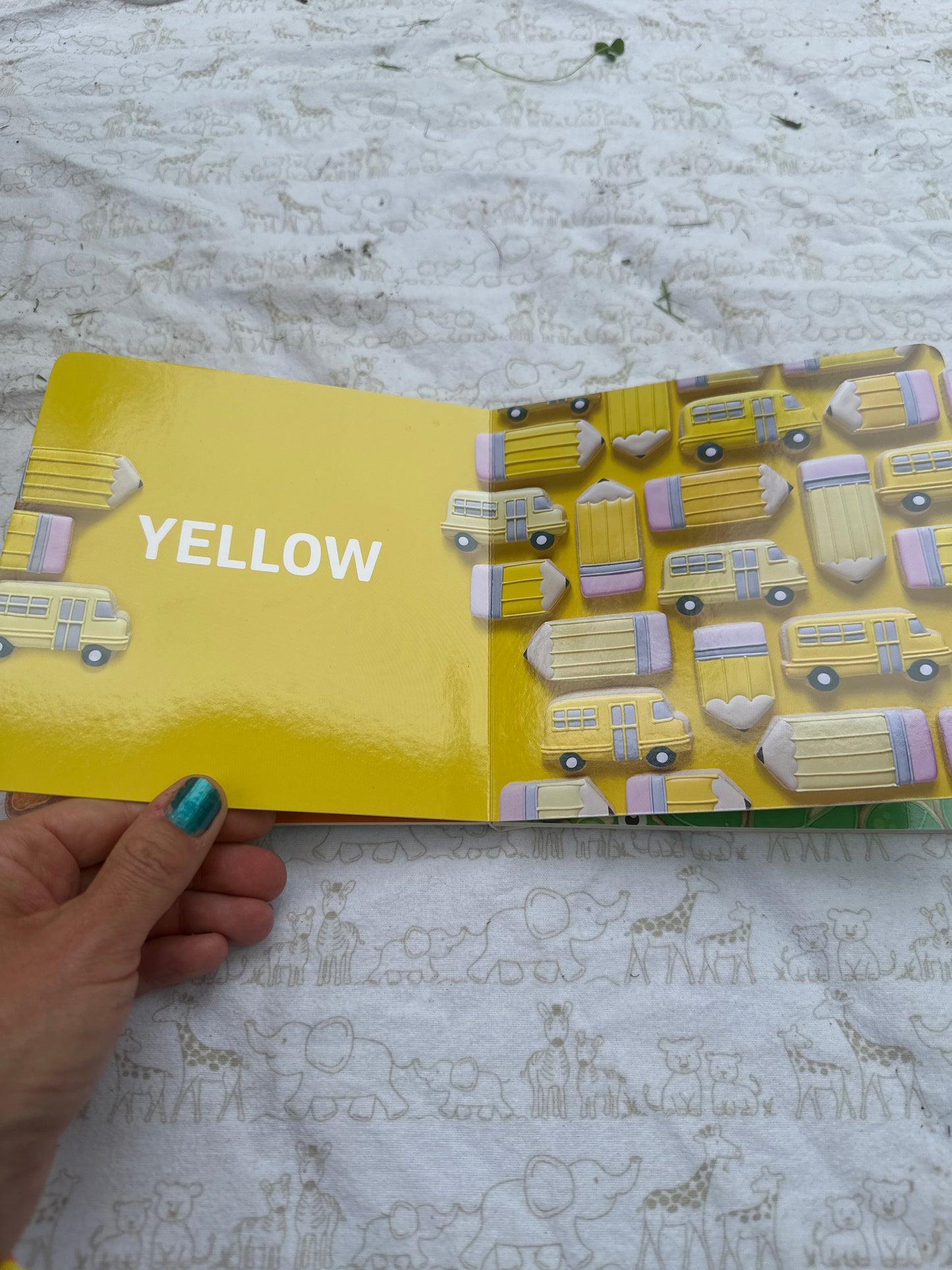 The Cookie Book of Colours by Holly Fox