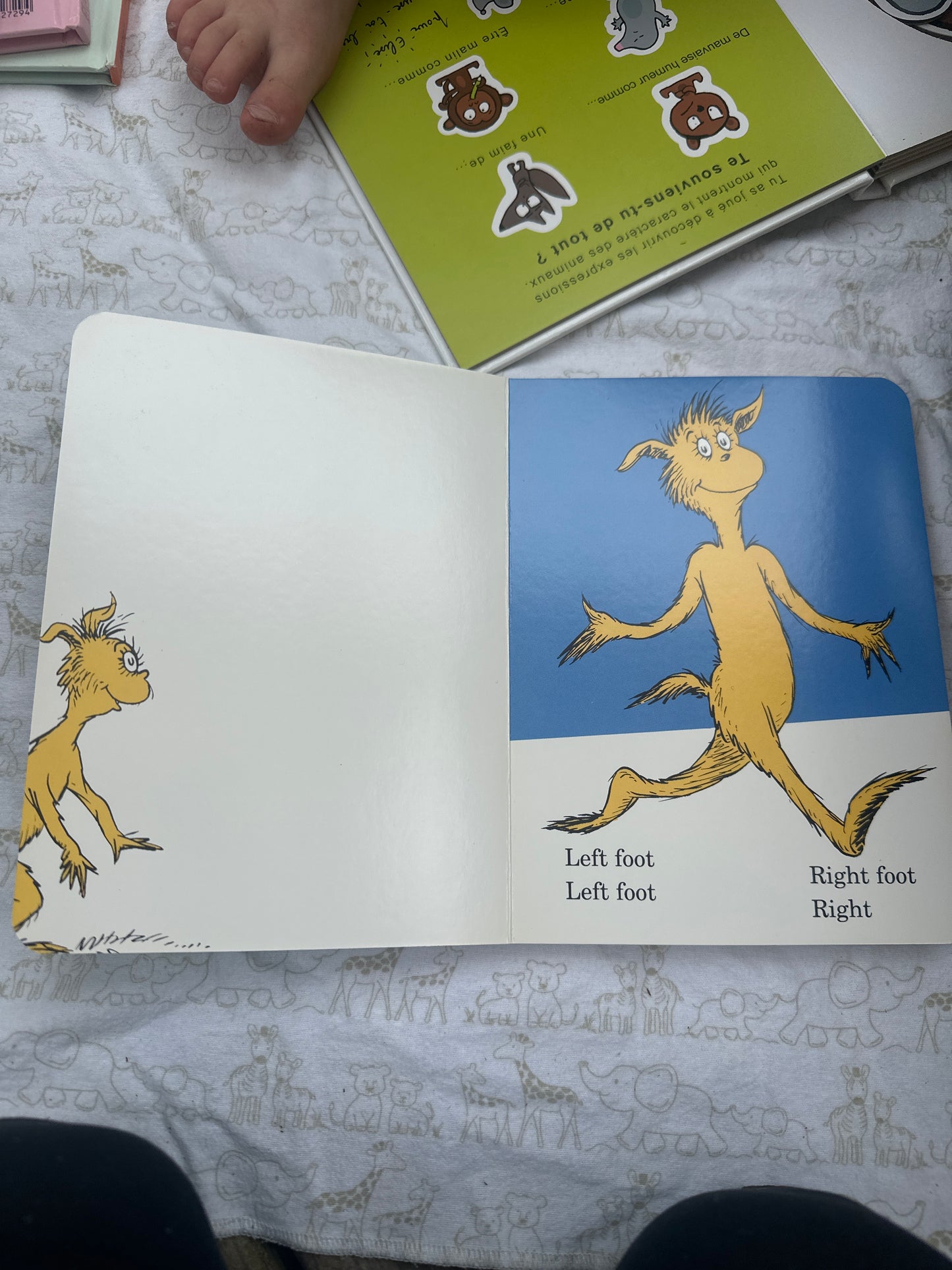 The Foot Book by Dr. Seuss