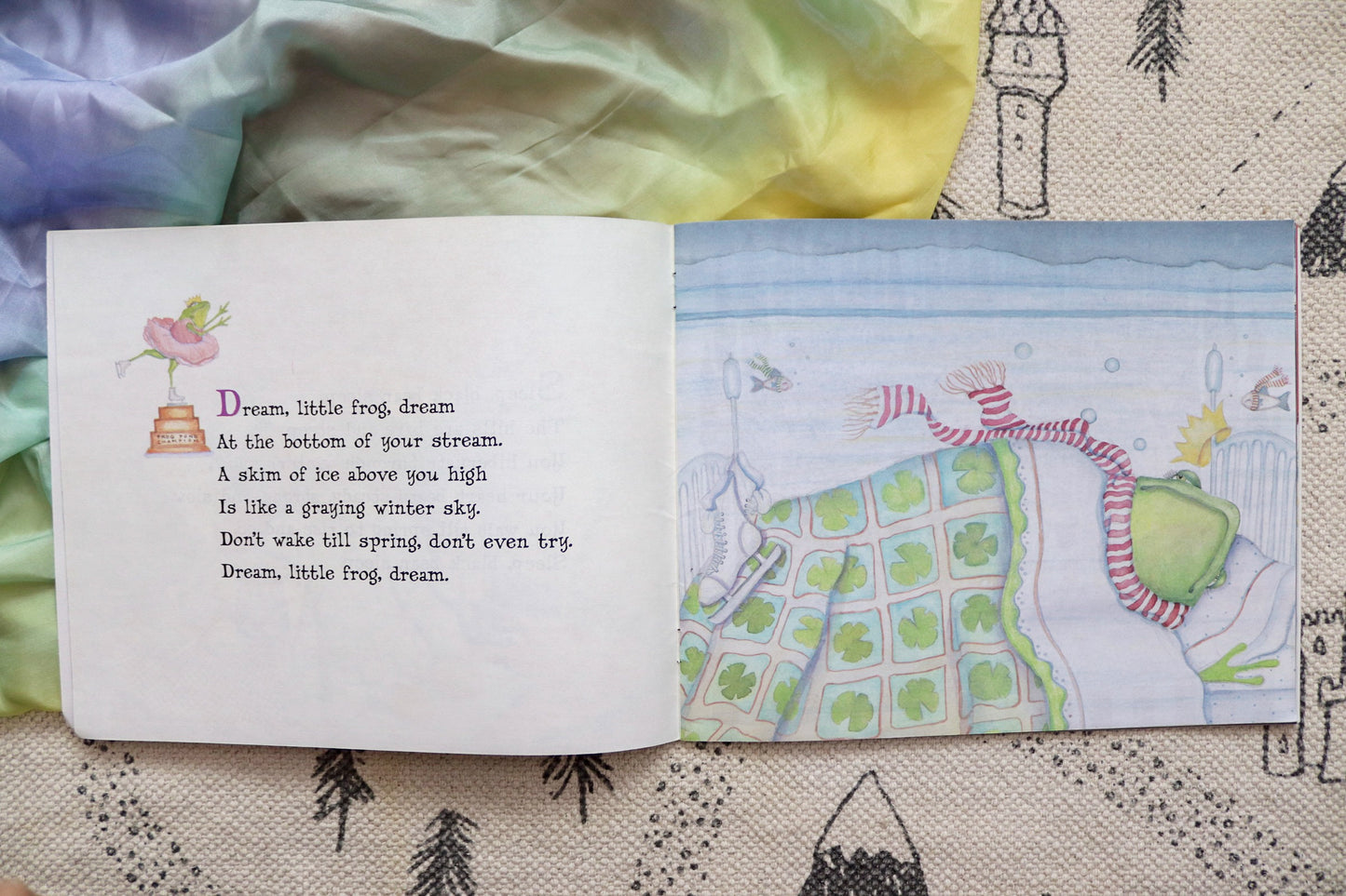 Sleep, black bear, sleep