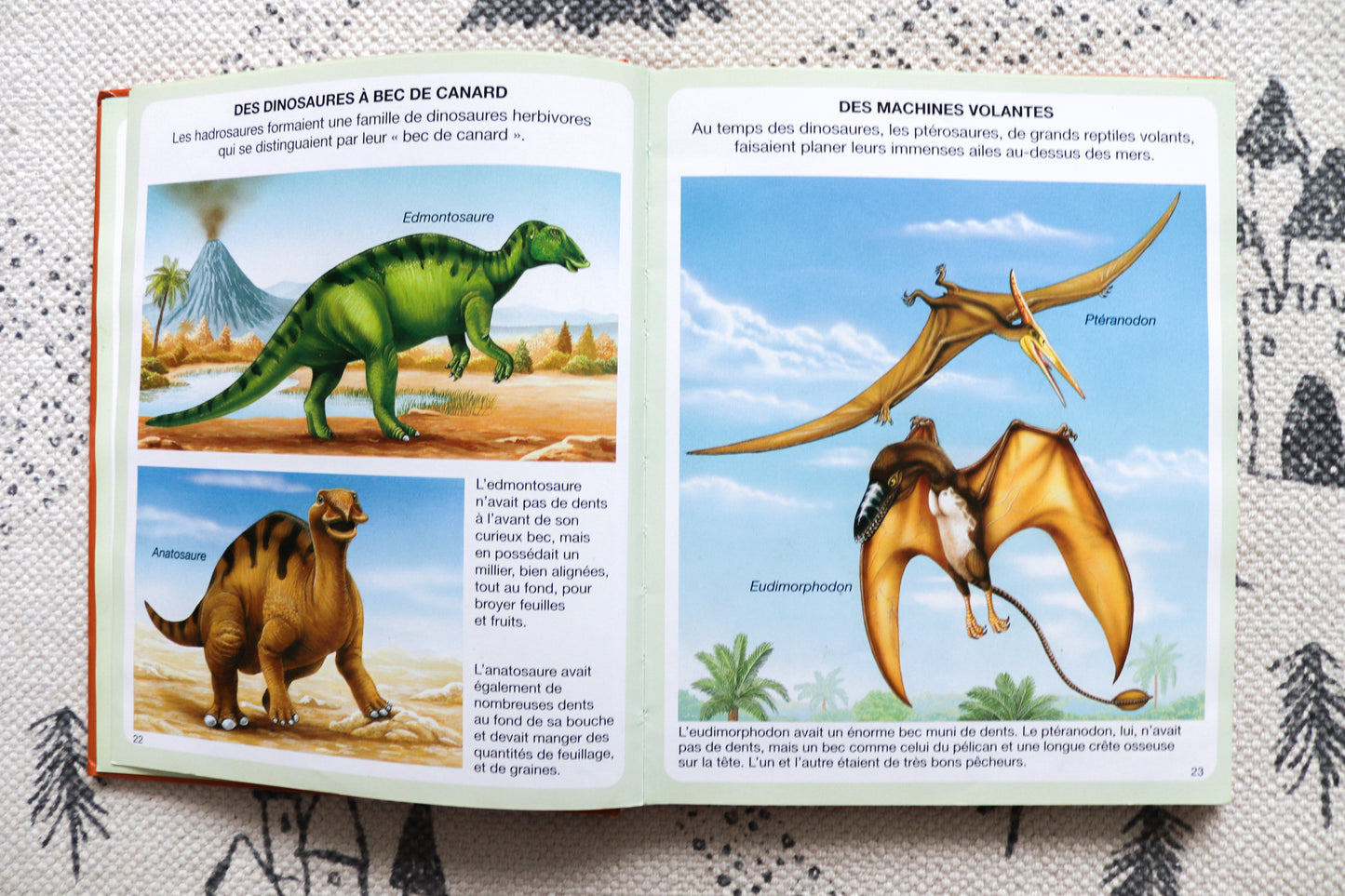 L'imagerie des dinosaures et de la préhistoire