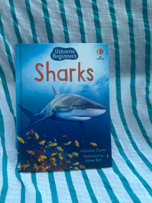 Sharks 🦈 Usborne beginners