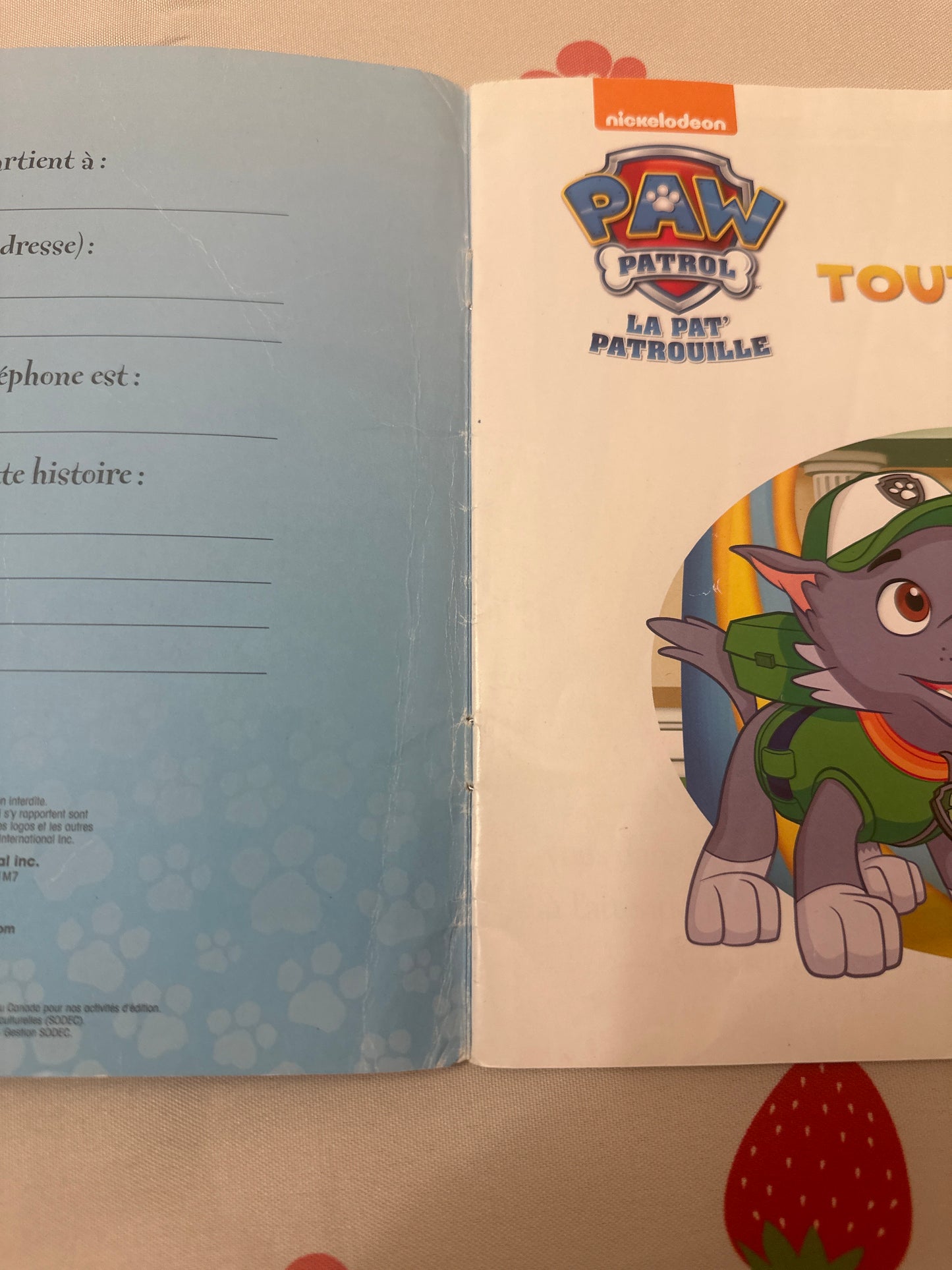 Toùt là-haut! Paw Patrol