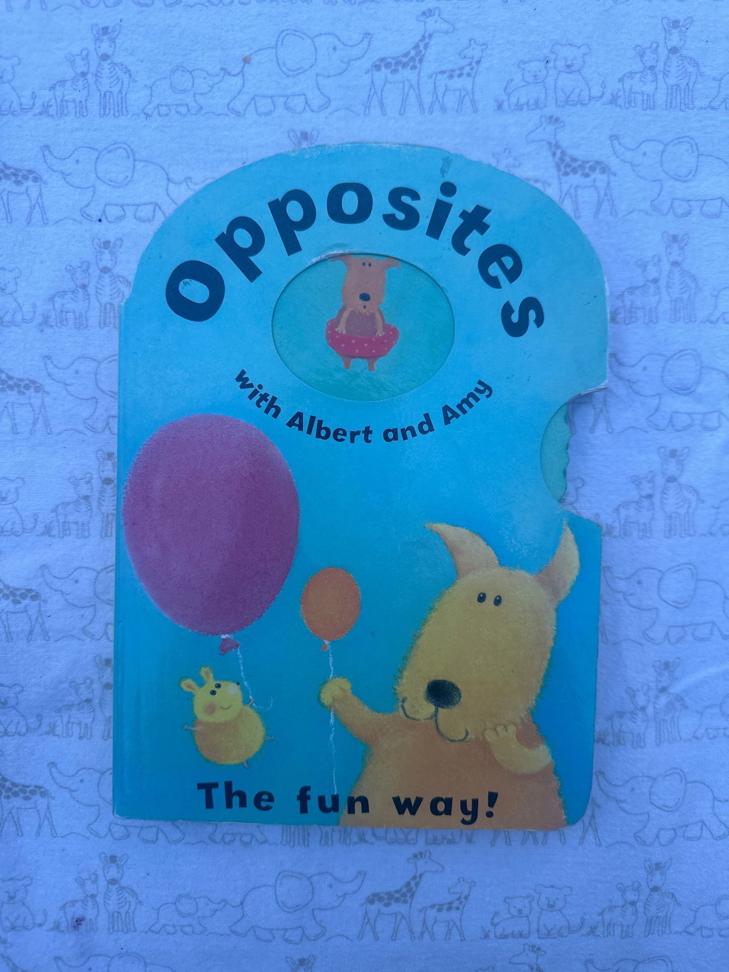 Opposites with Albert and Amy