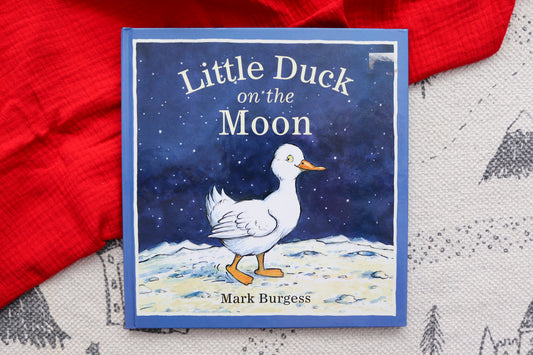Little Duck on the Moon