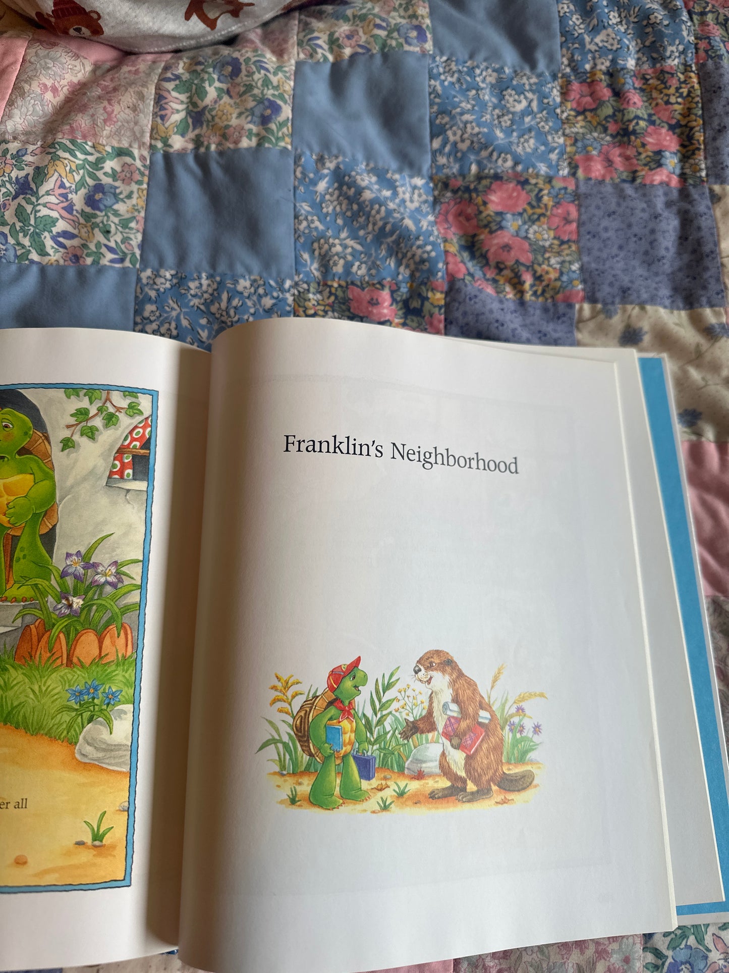 Franklin’s SCHOOL Treasury