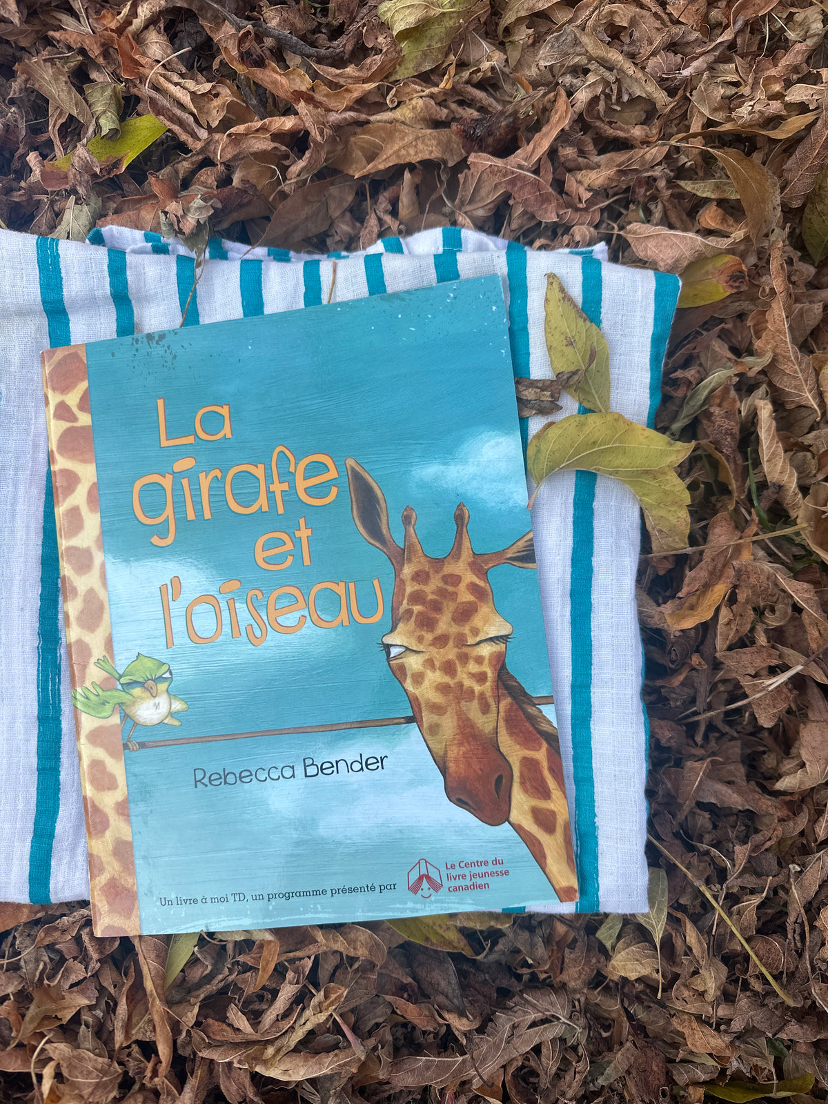 Le girafe et l’oiseau