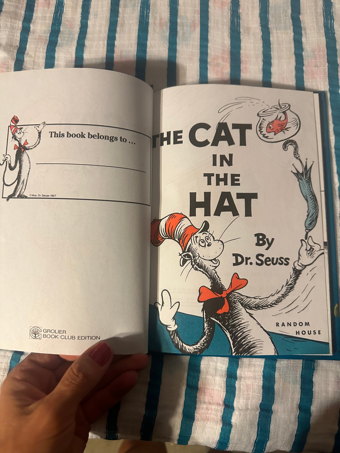 The Cat in the Hat Dr. Seuss