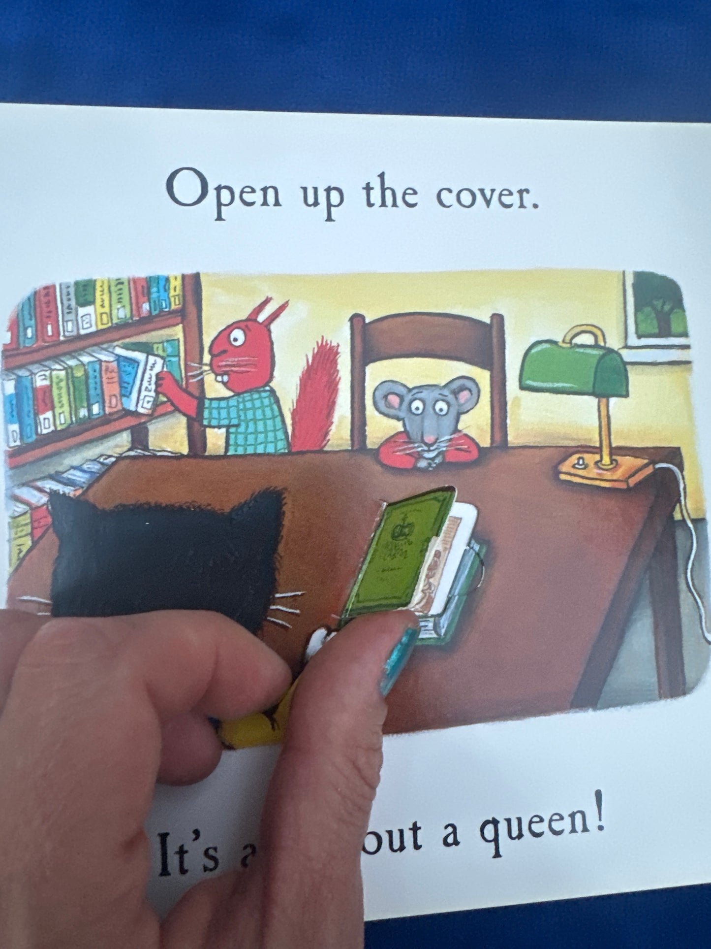 Cat’s Cookbook lift-the-flap book by Julia Donaldson