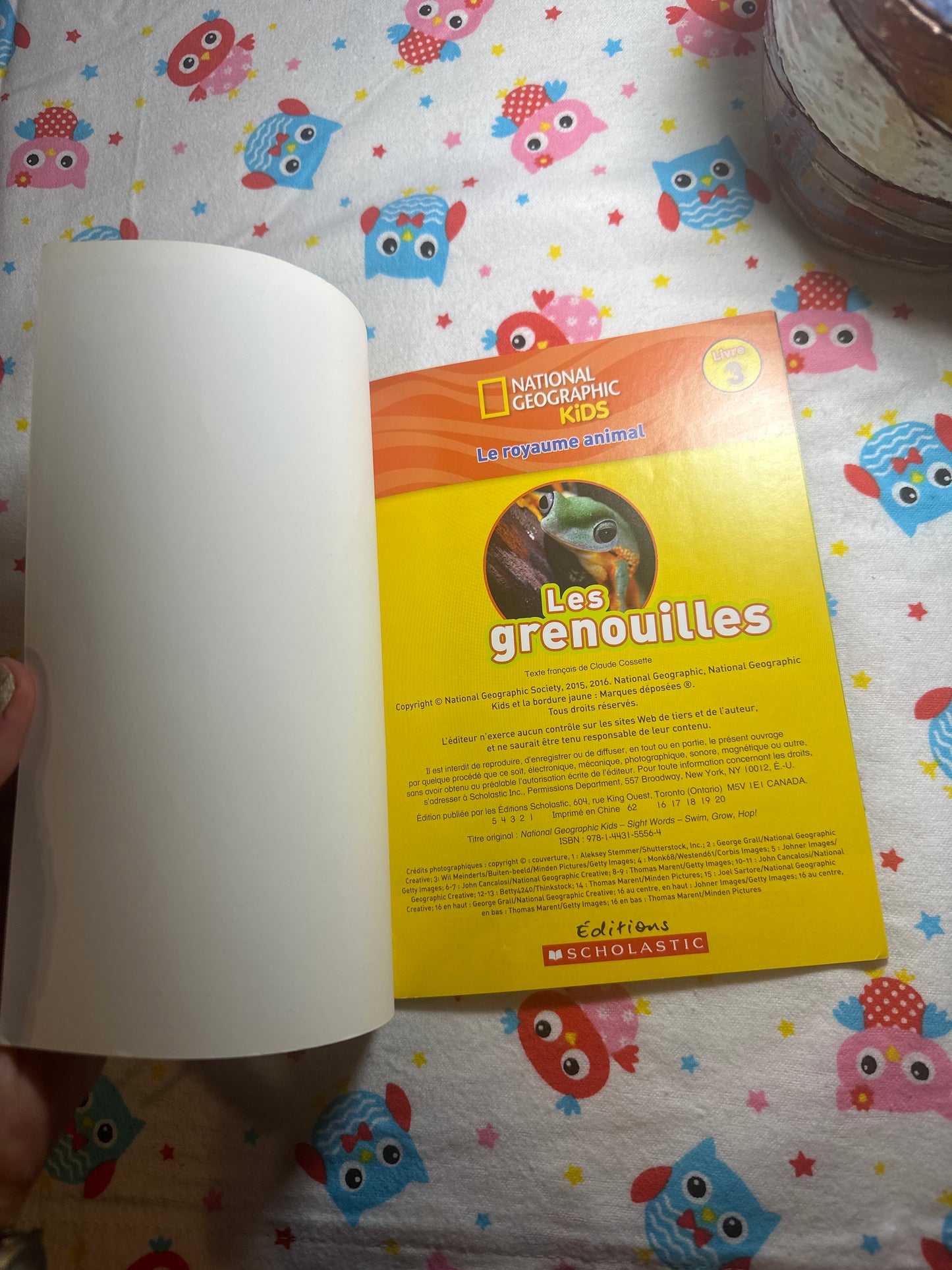 Les grenouilles
