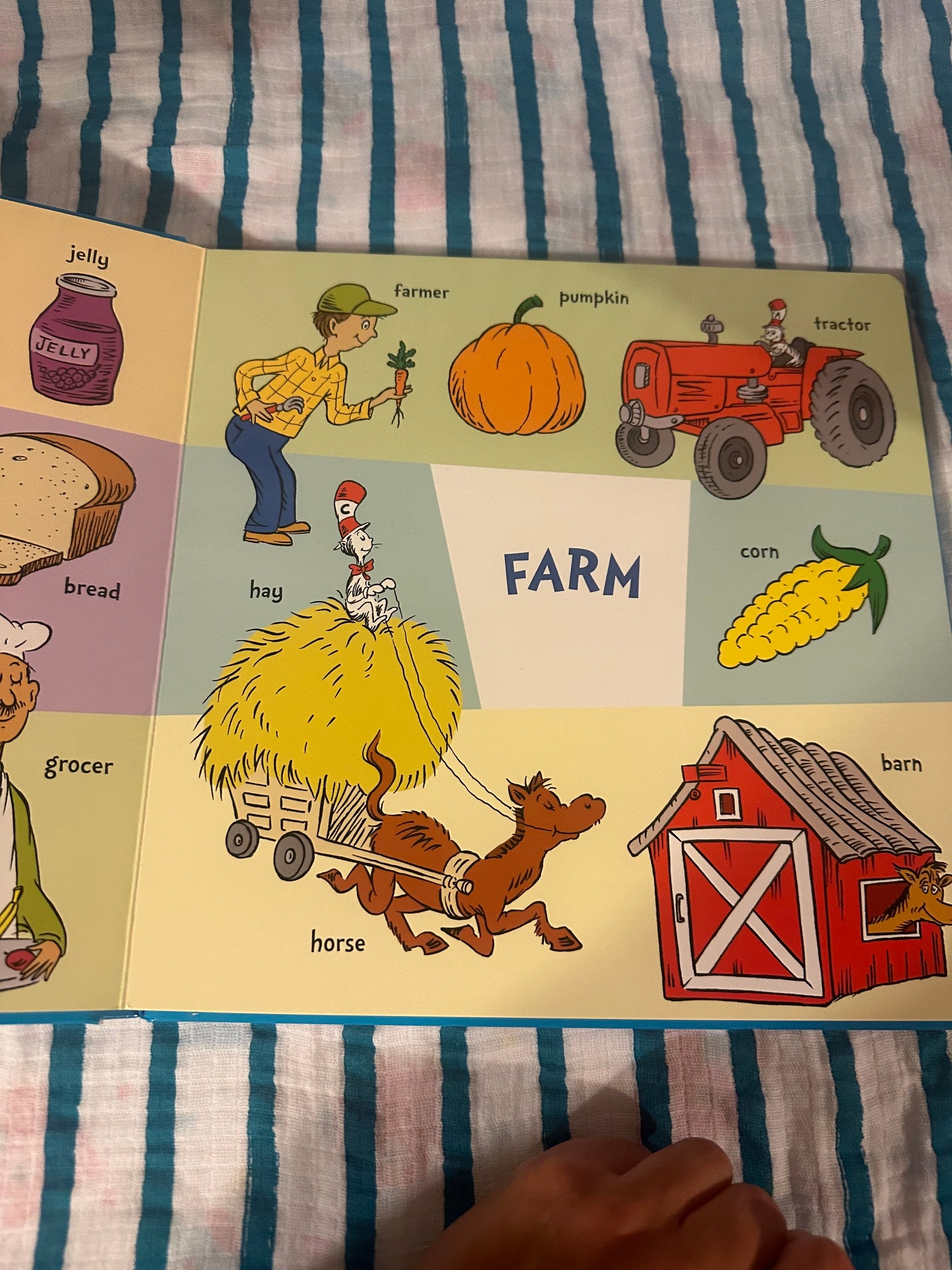 Dr. Seuss People, Places, and Things