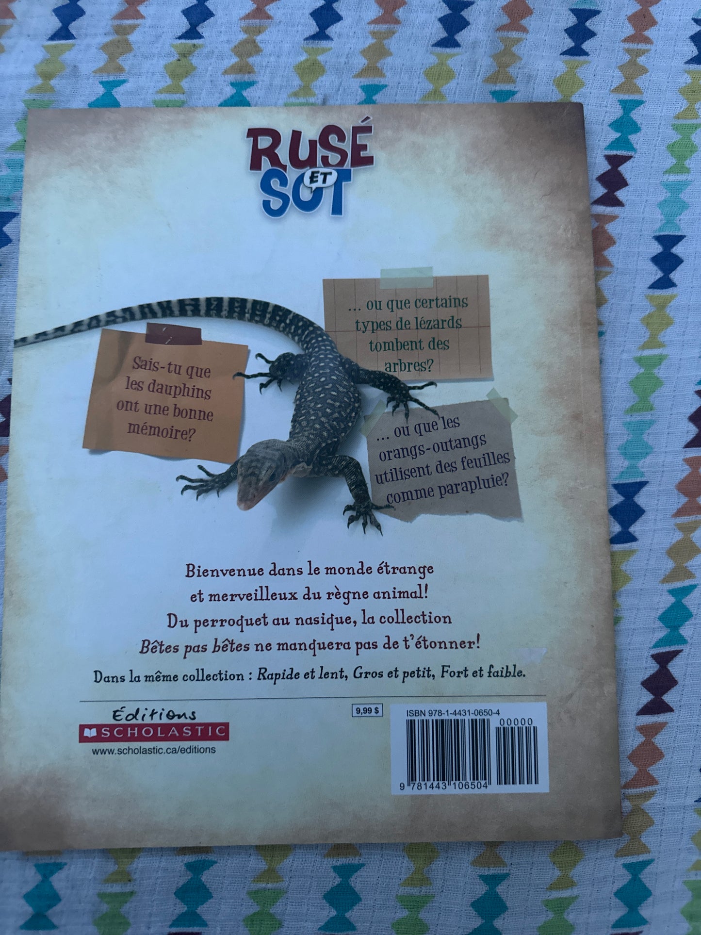 Rusé et Sot