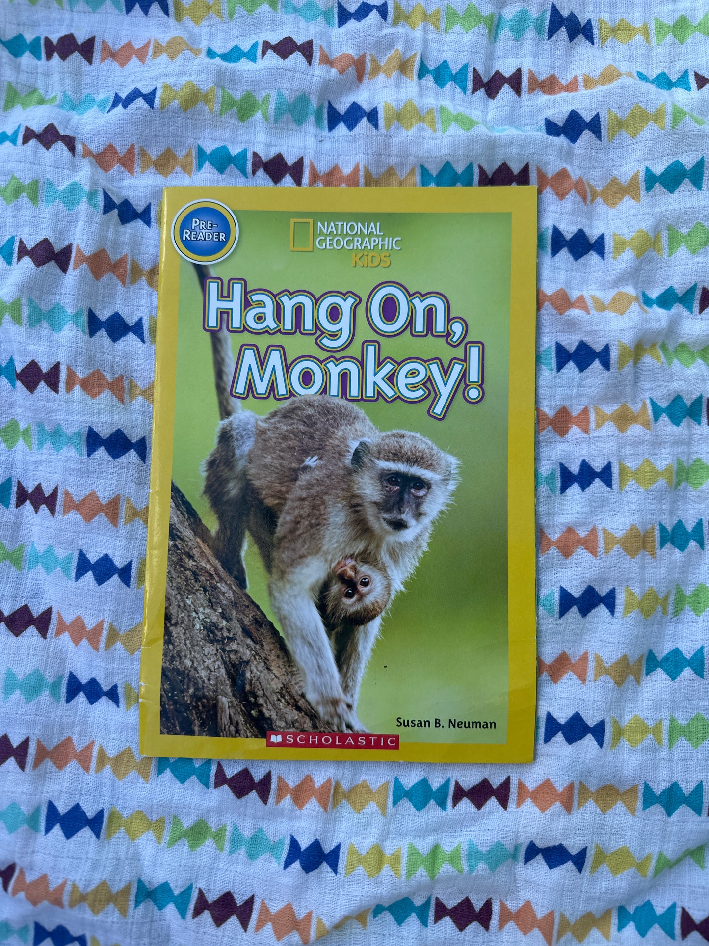 Hang on, Monkey!