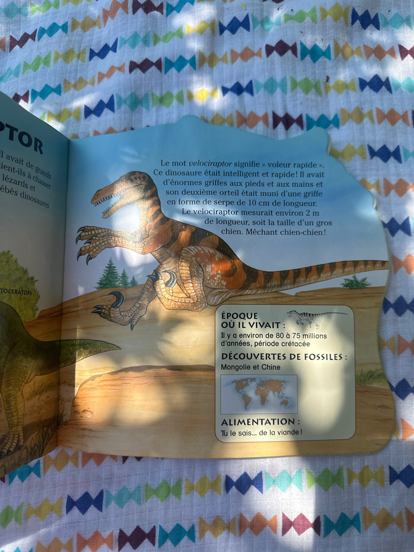 Les dinosaures 🦖