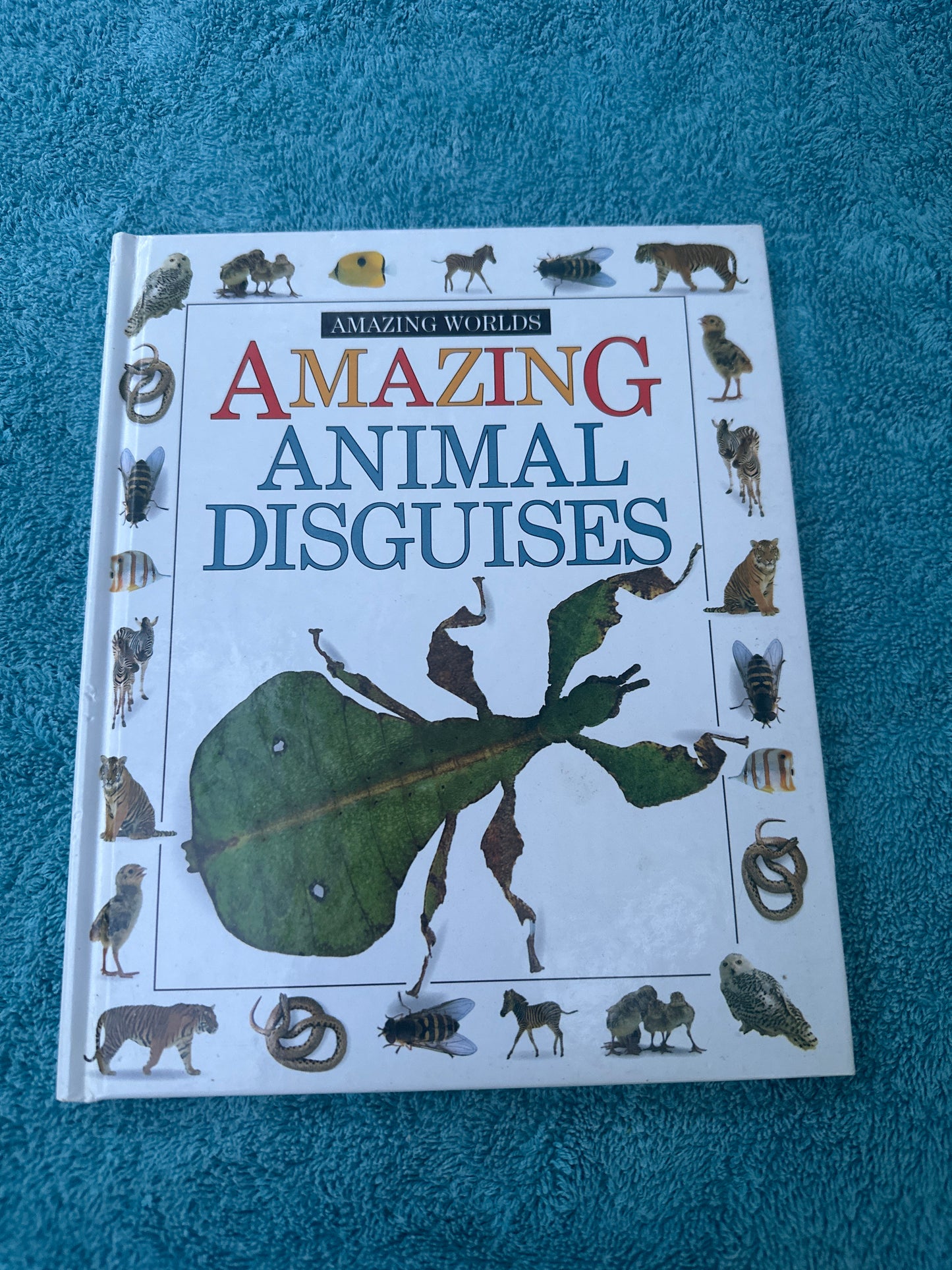 Amazing Animal Disguises