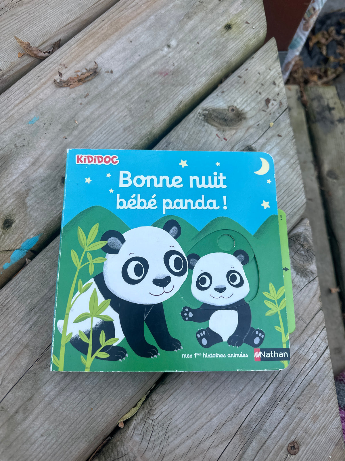 Bonne nuit bébé panda 🐼