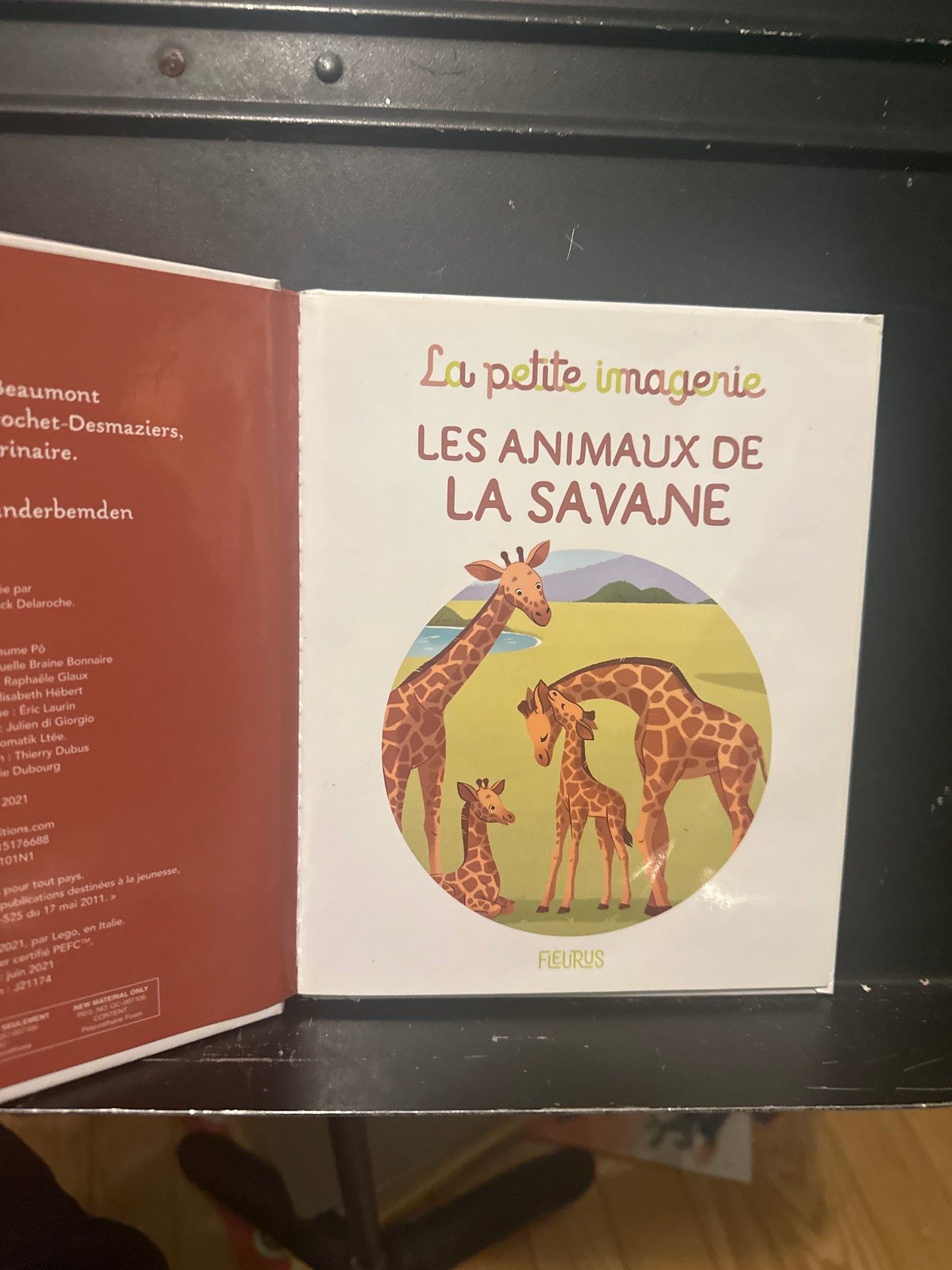 Les animaux de la savane 🦒