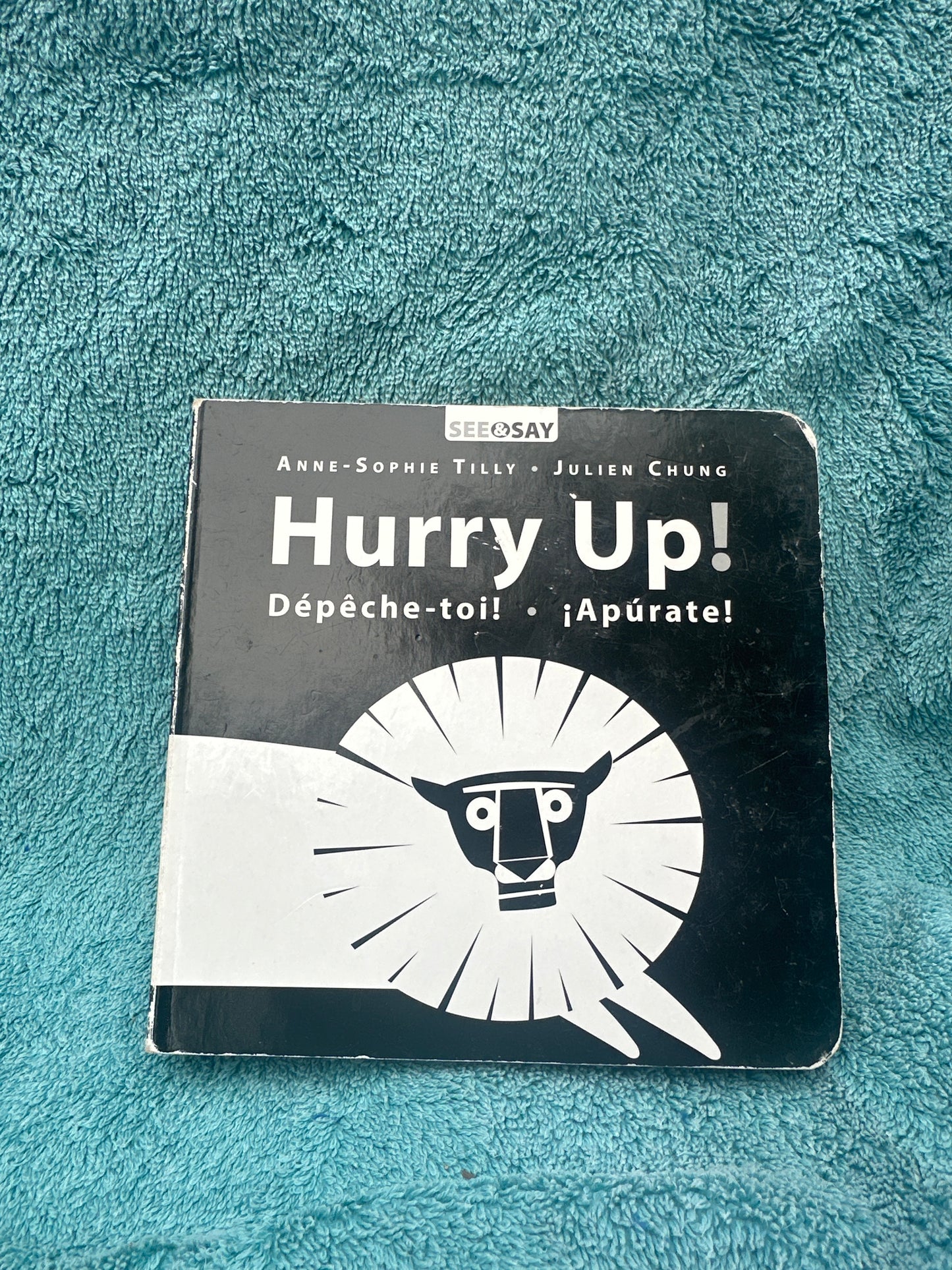 Hurry up! Dépêche-toi! Apúrate!