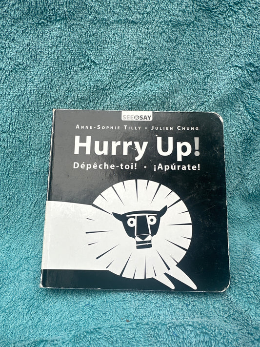 Hurry up! Dépêche-toi! Apúrate!