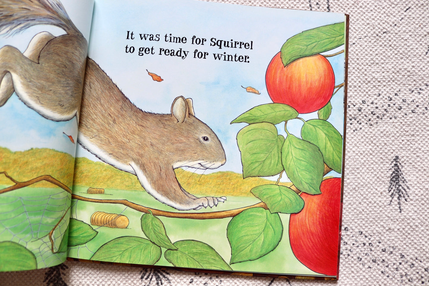 The Busy Little Squirrel