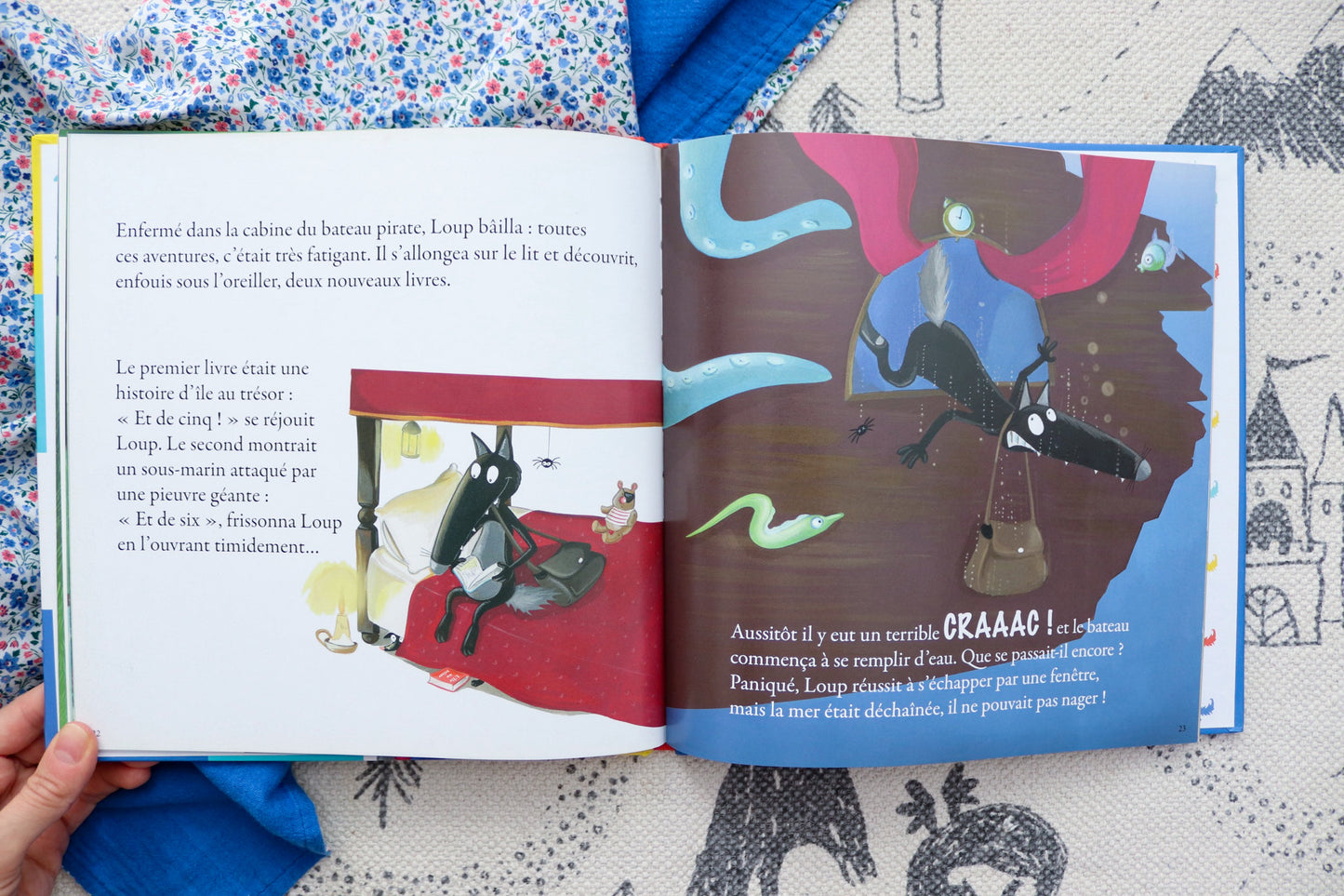 Le loup qui n'aimait pas lire