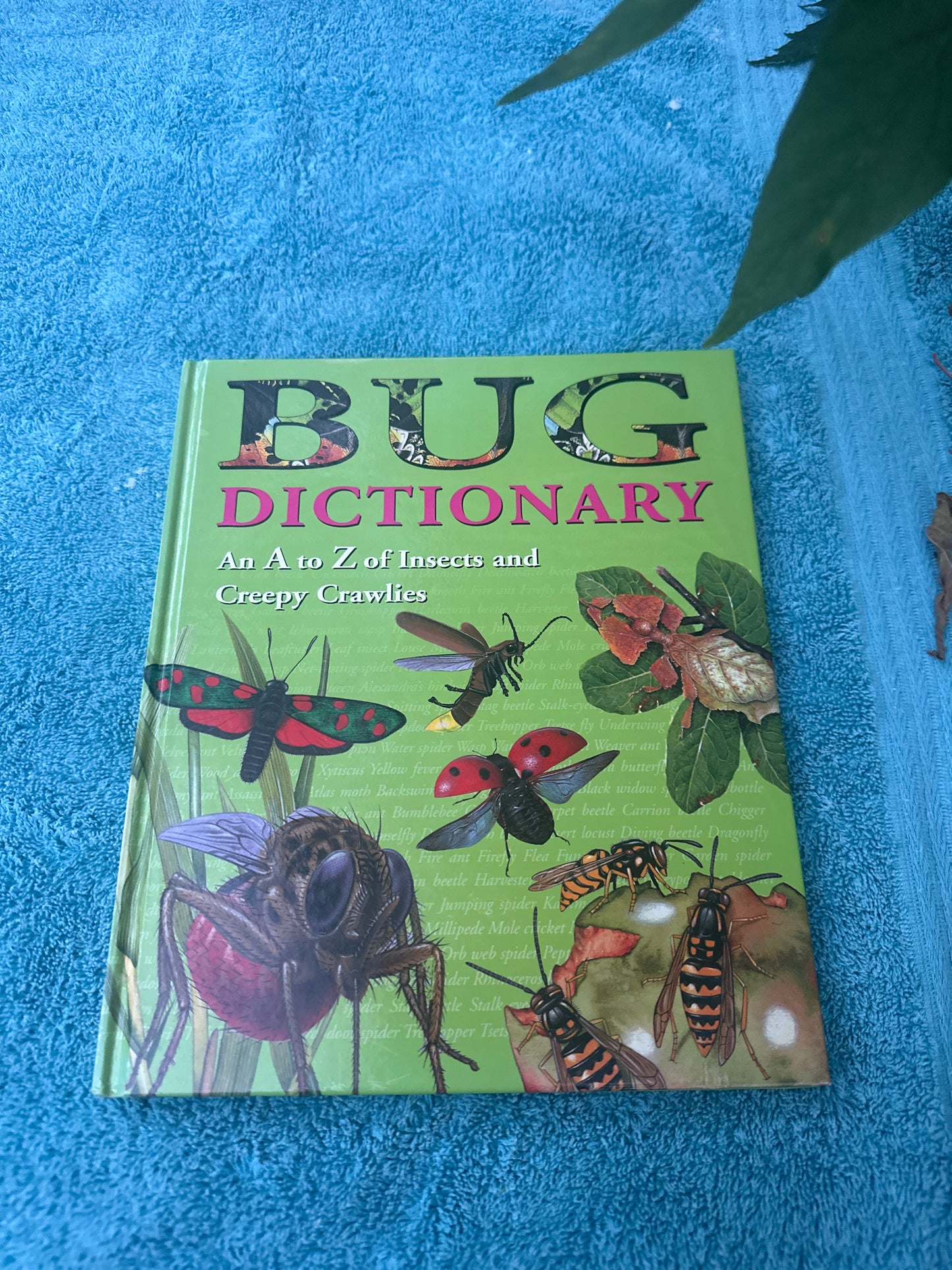 Bug Dictionary