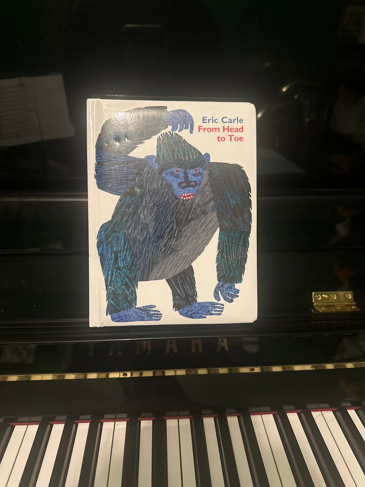 From Head to Toe board book