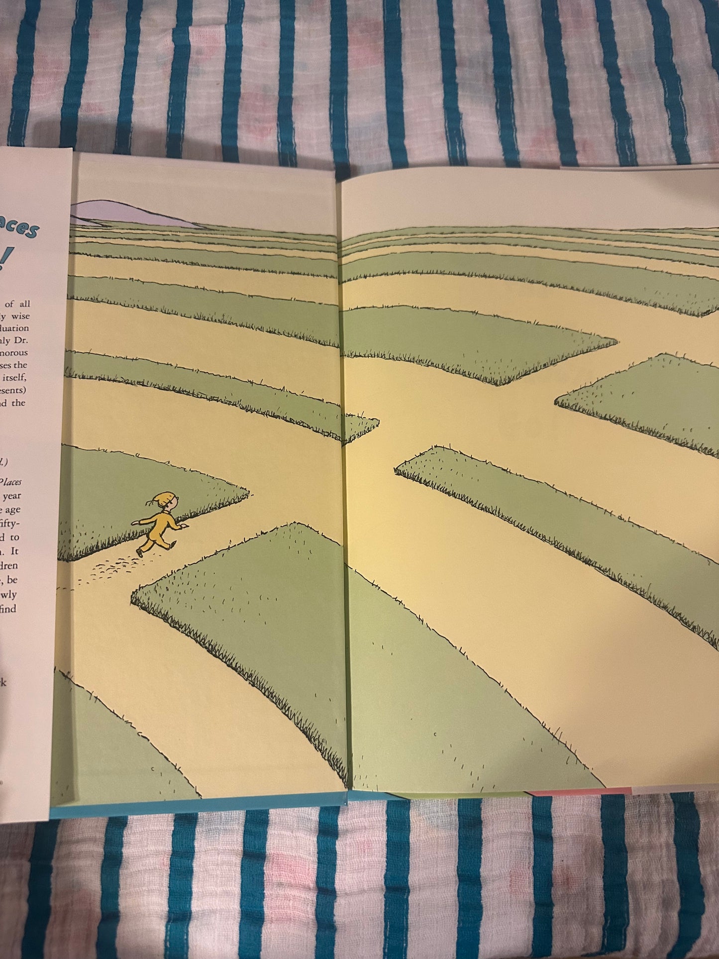 Oh, The places you’ll go! Dr. Seuss