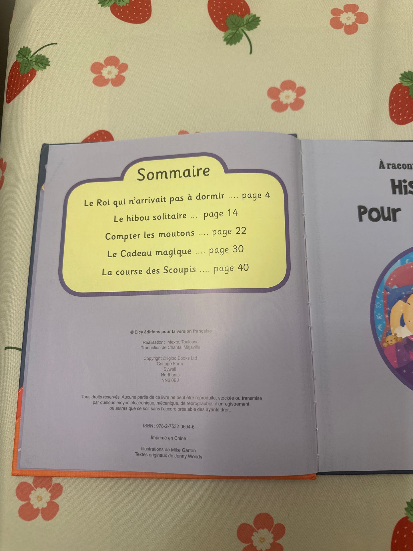 Histoires pour s’endormir à raconter en cinq minutes
