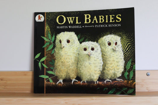 Owl babies