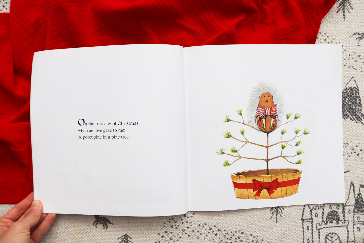 A porcupine in a pine tree