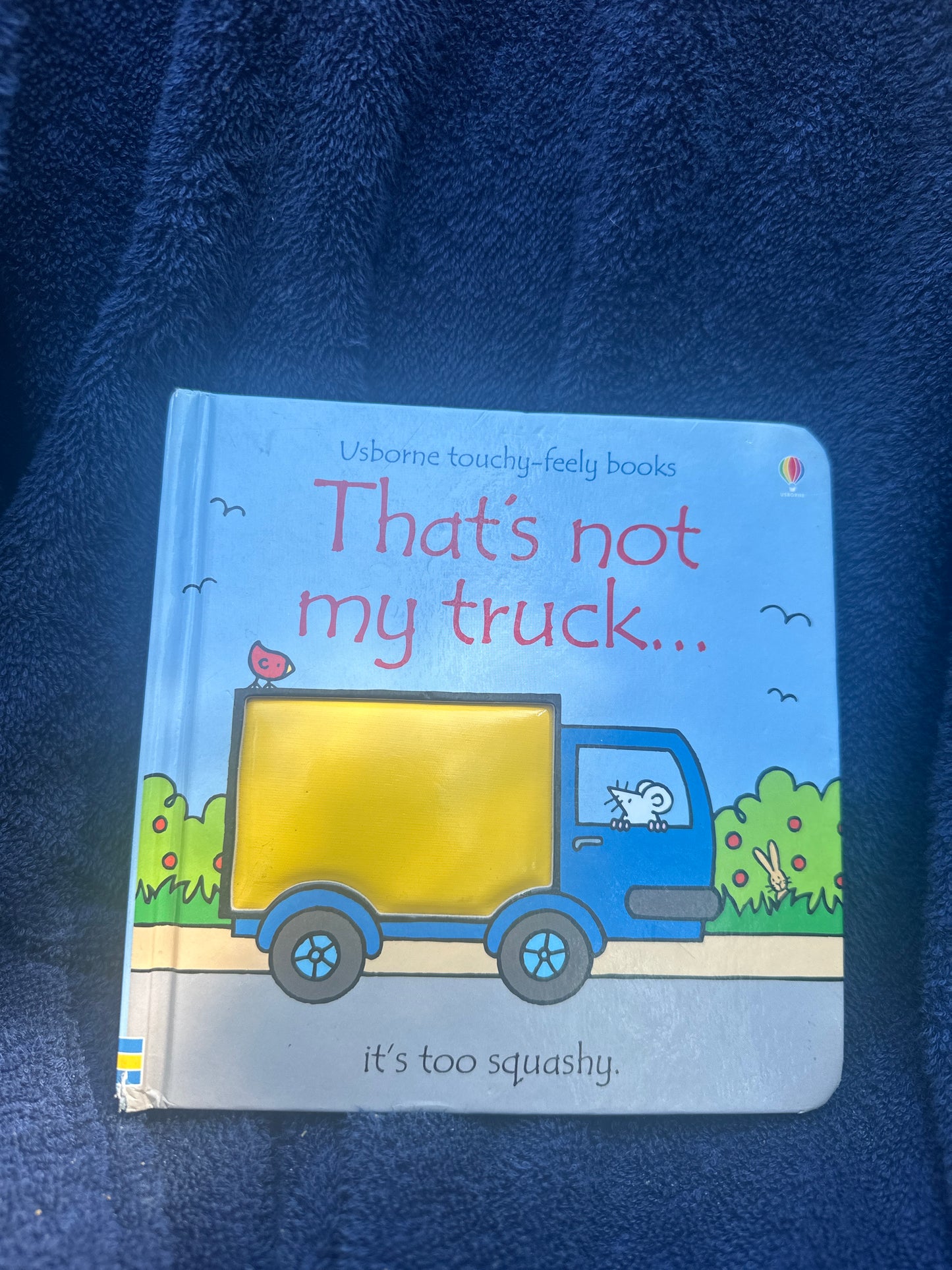 That’s not my truck (Usborne)