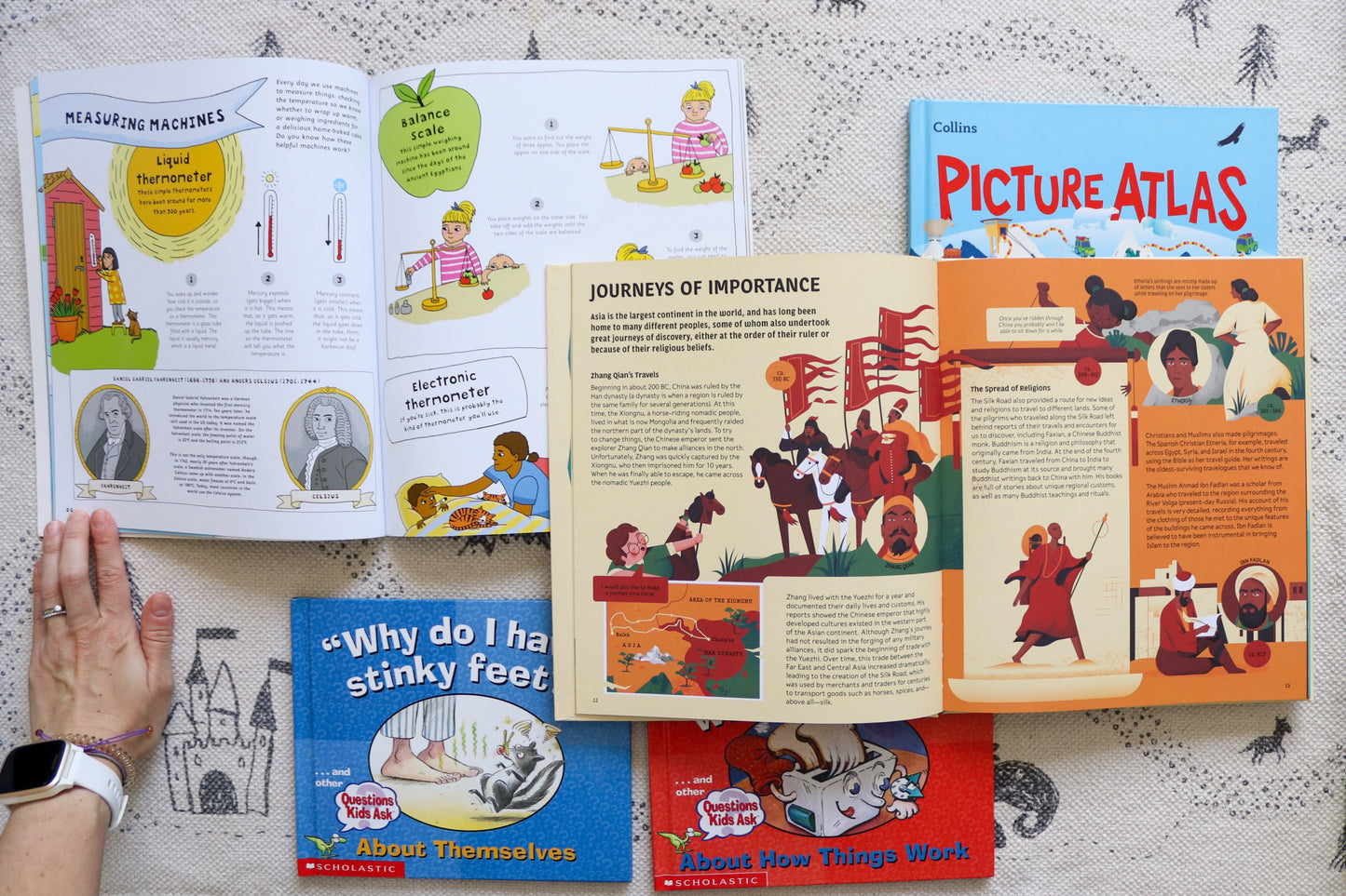 The curious little ones' book box