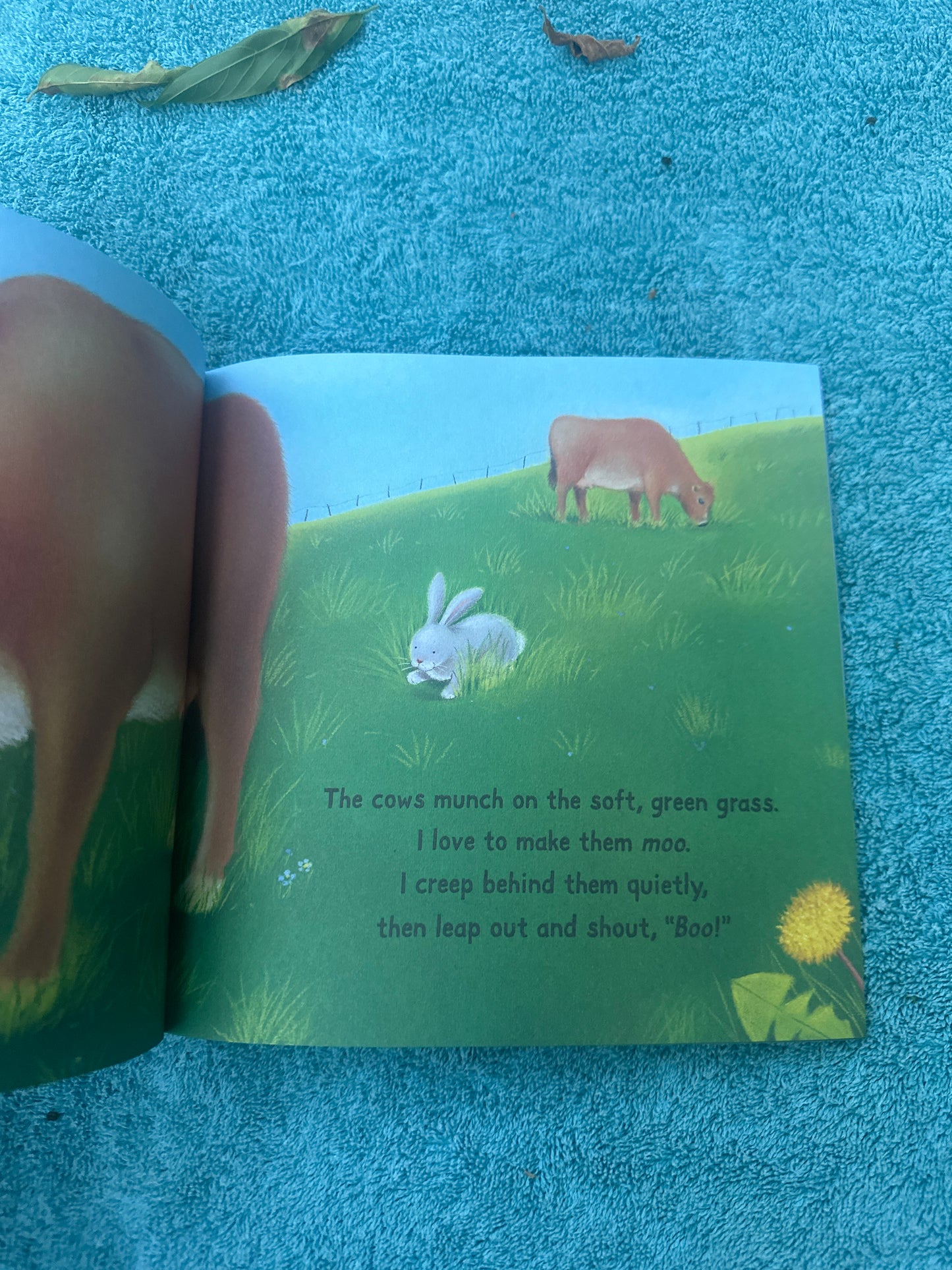 You’re My Little Bunny