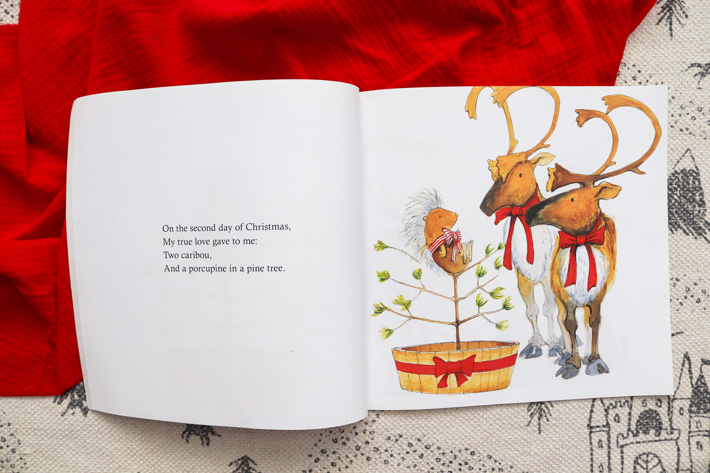 A porcupine in a pine tree