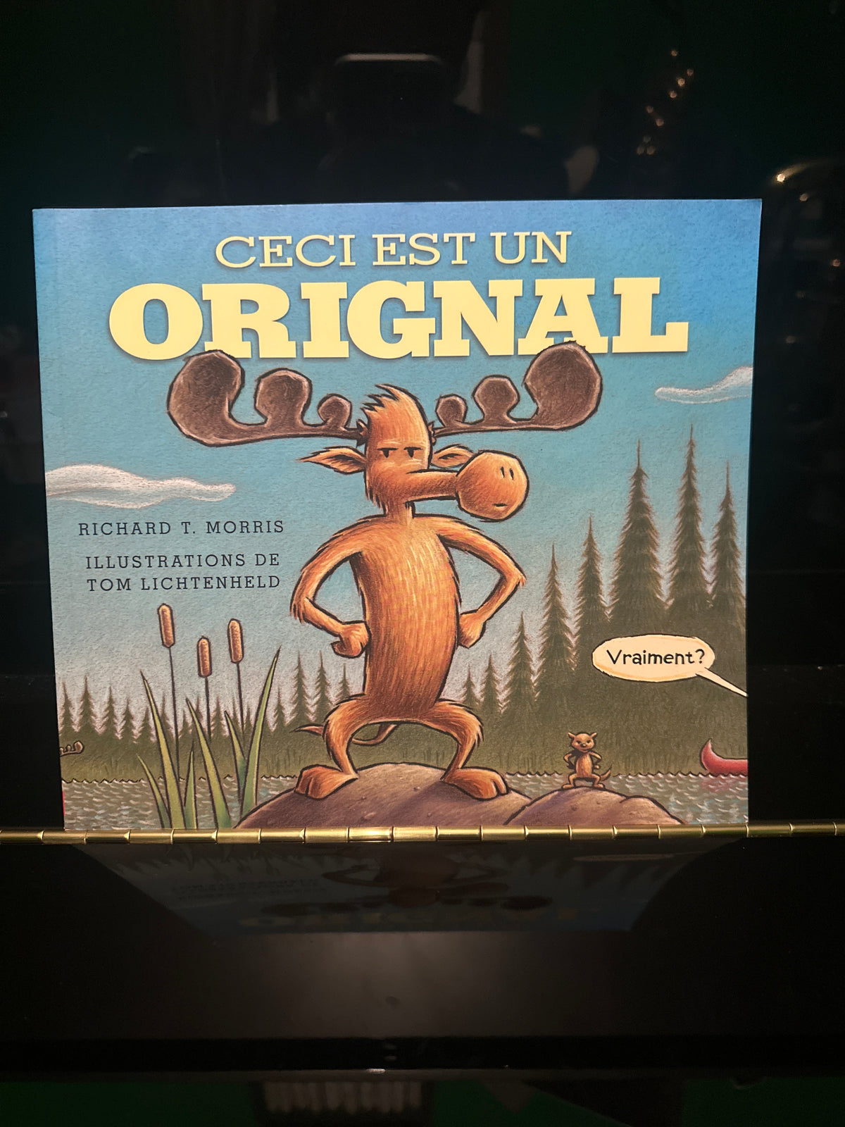 Ceci est un orignal 🫎