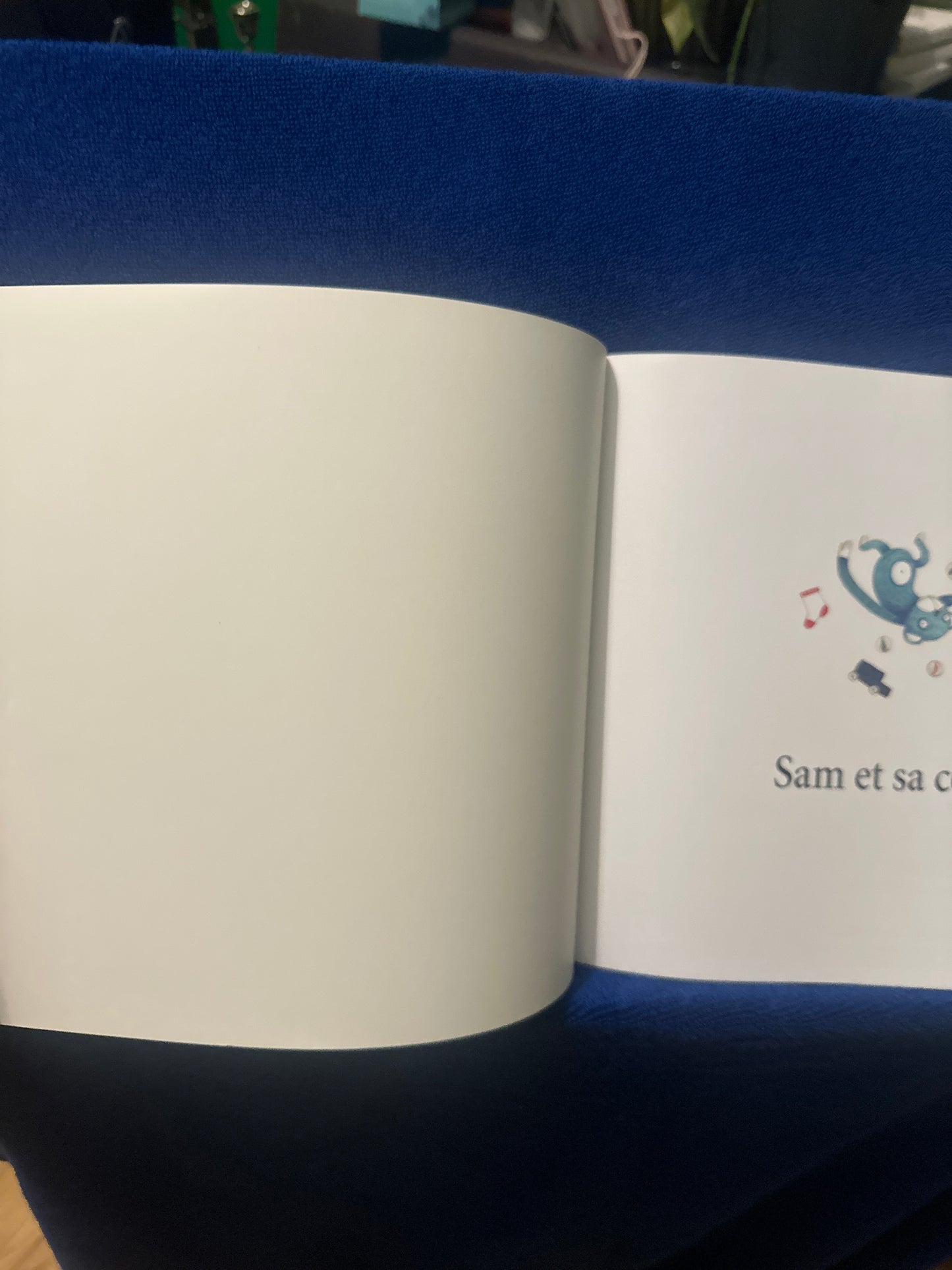 Sam et sa colère