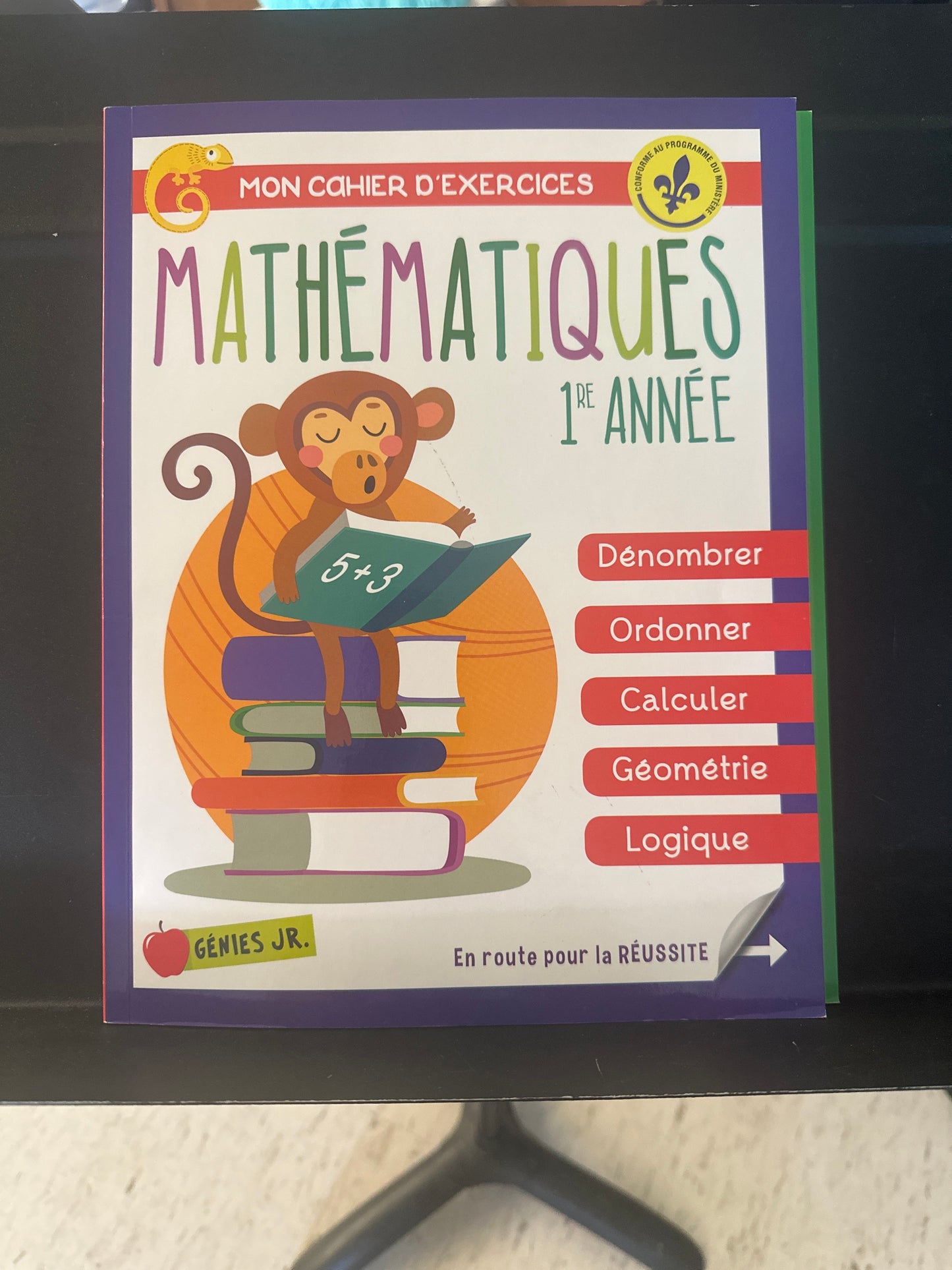 Mathématiques 1e année