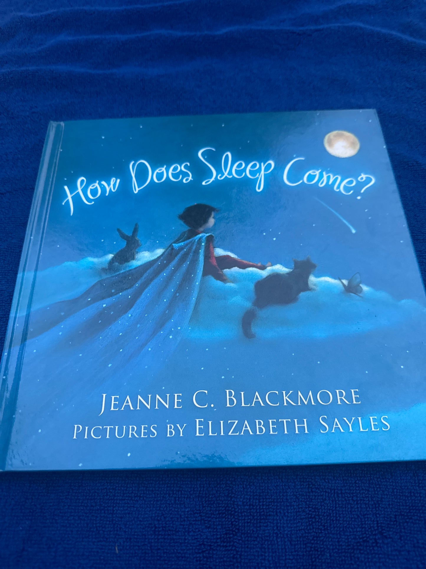 How does Sleep Come? By Jeanne C. Blackmore