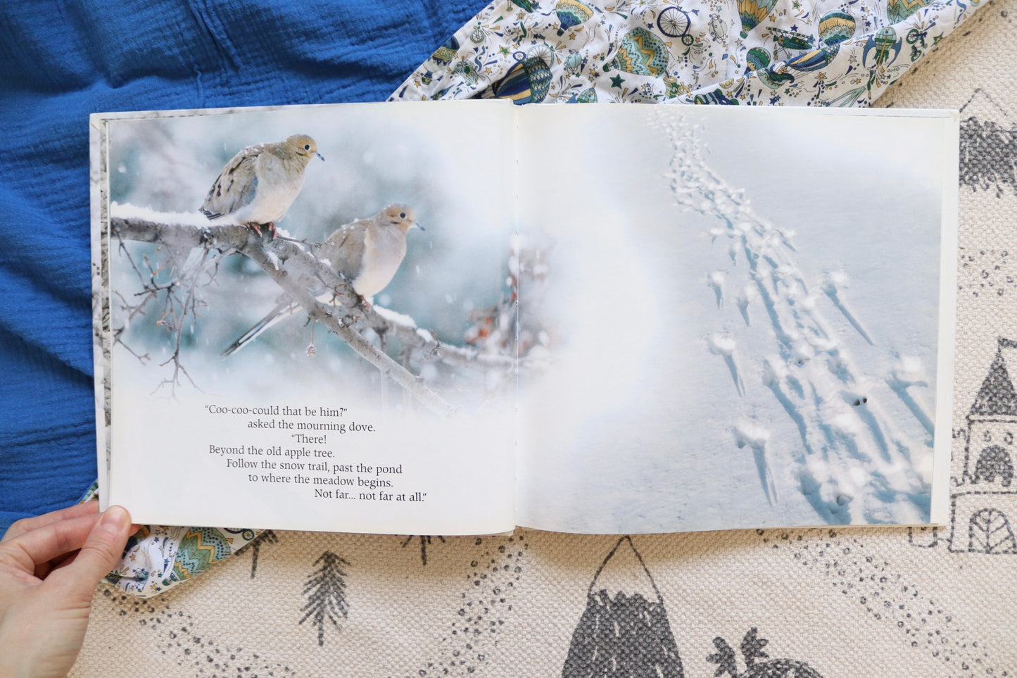 Stranger into the woods