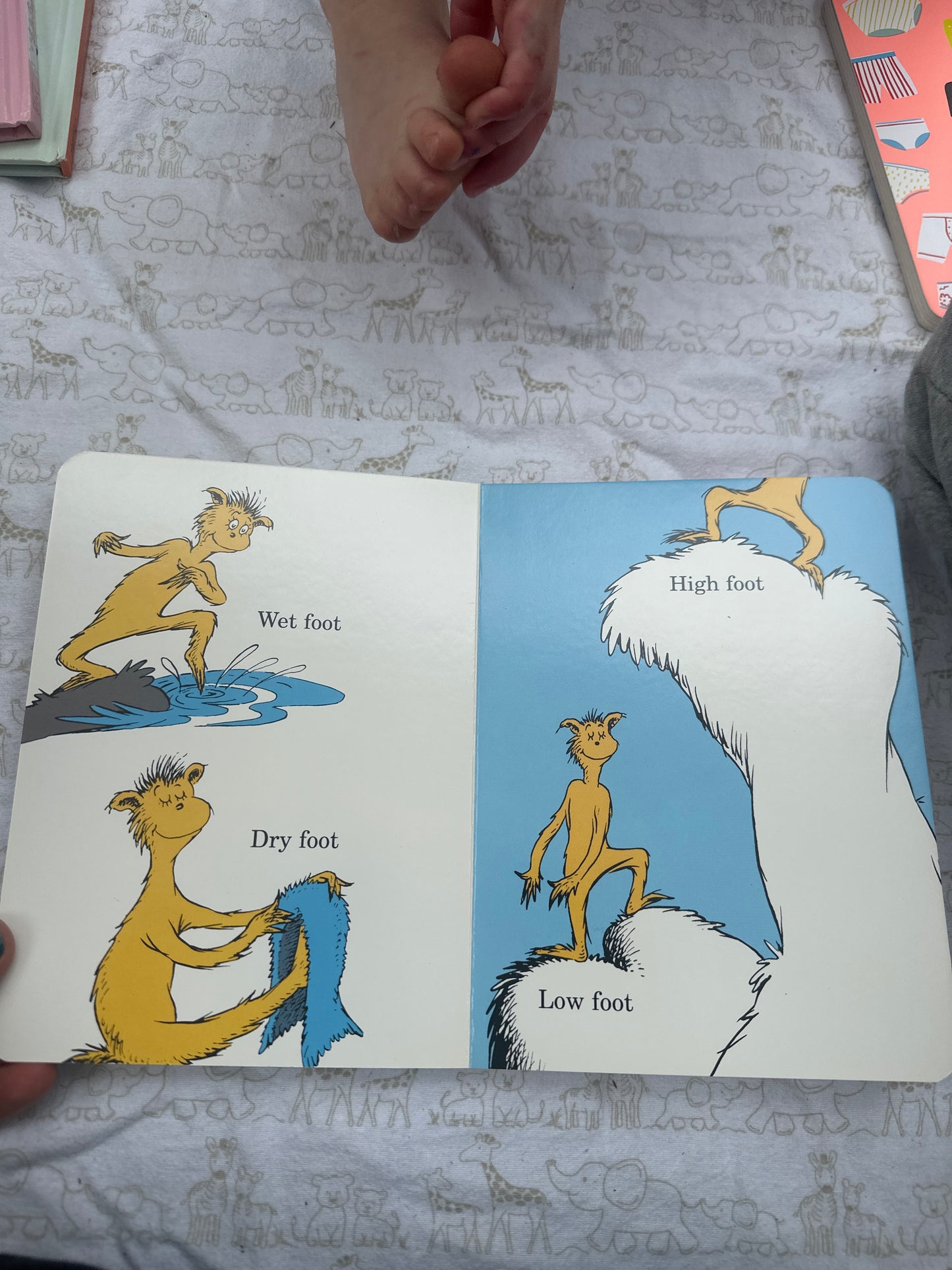 The Foot Book by Dr. Seuss