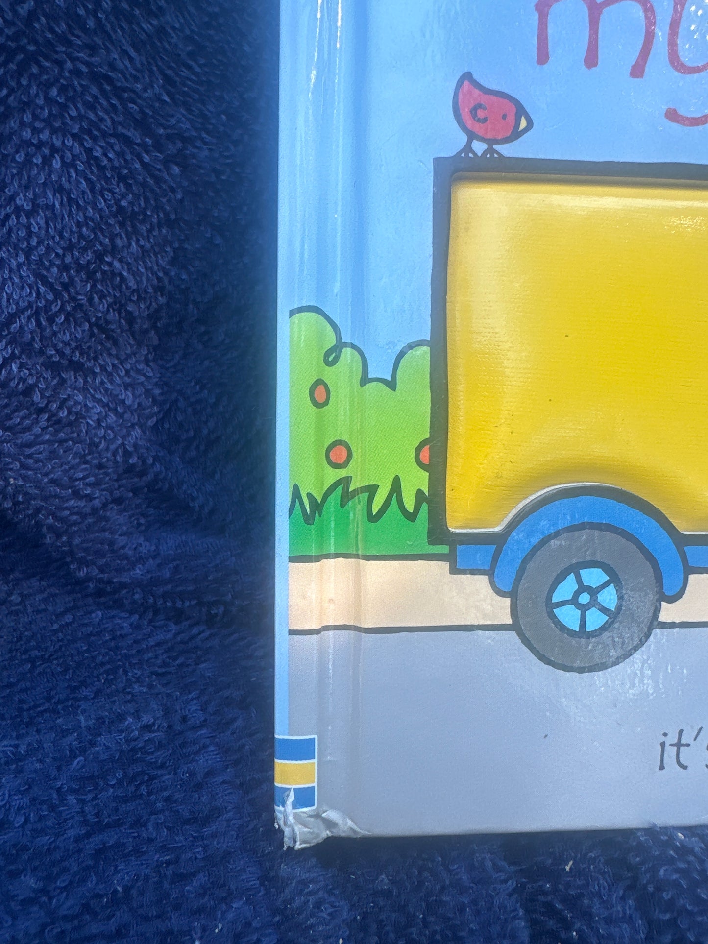 That’s not my truck (Usborne)
